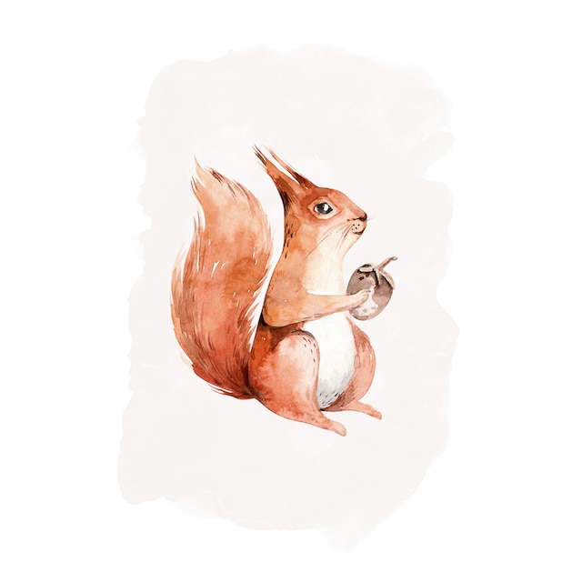 Komar Poster »Hungry Squirrel«, (1 St.) kaufen | BAUR