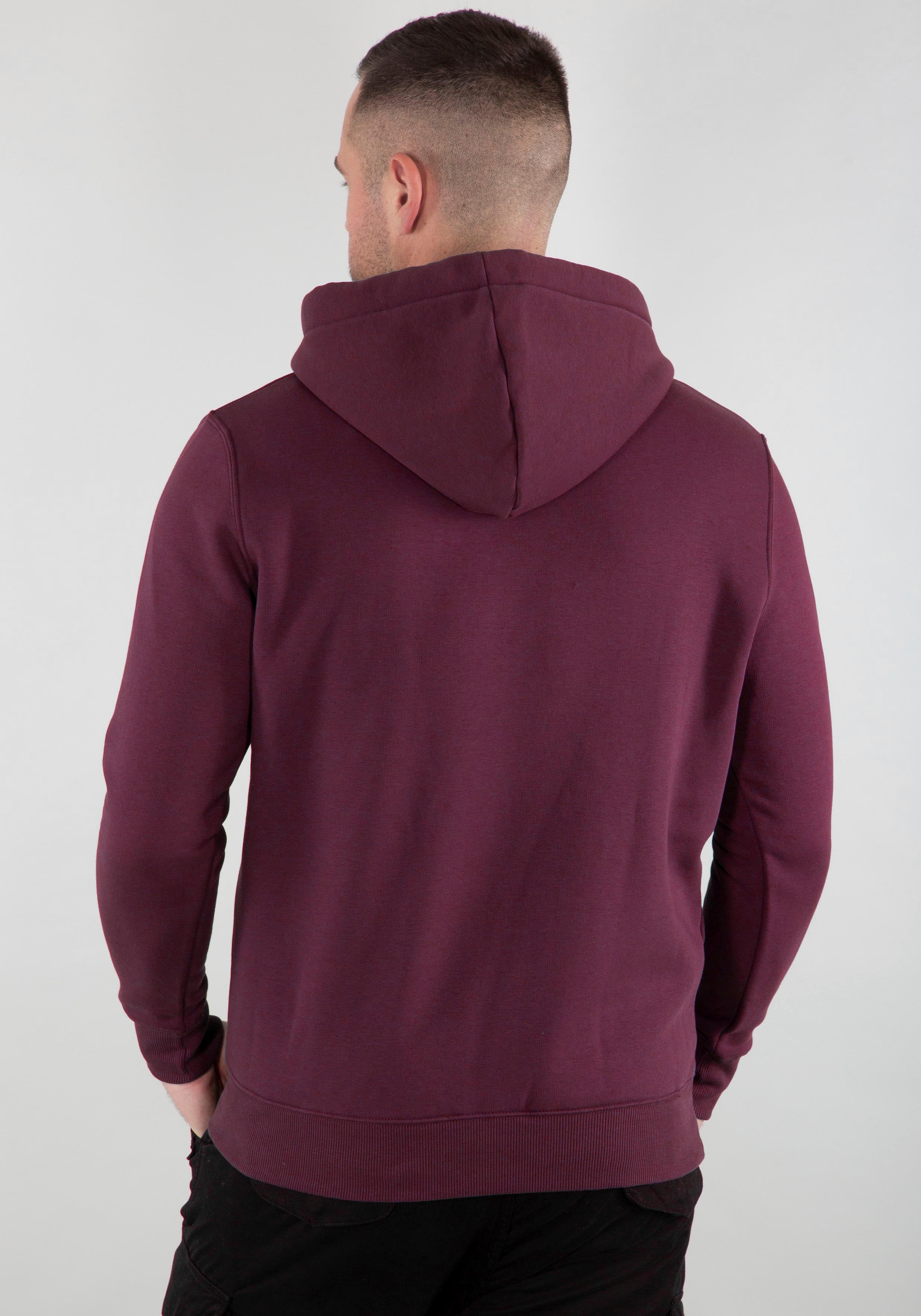 Alpha Industries Kapuzensweatshirt "Basic Hoody" günstig online kaufen