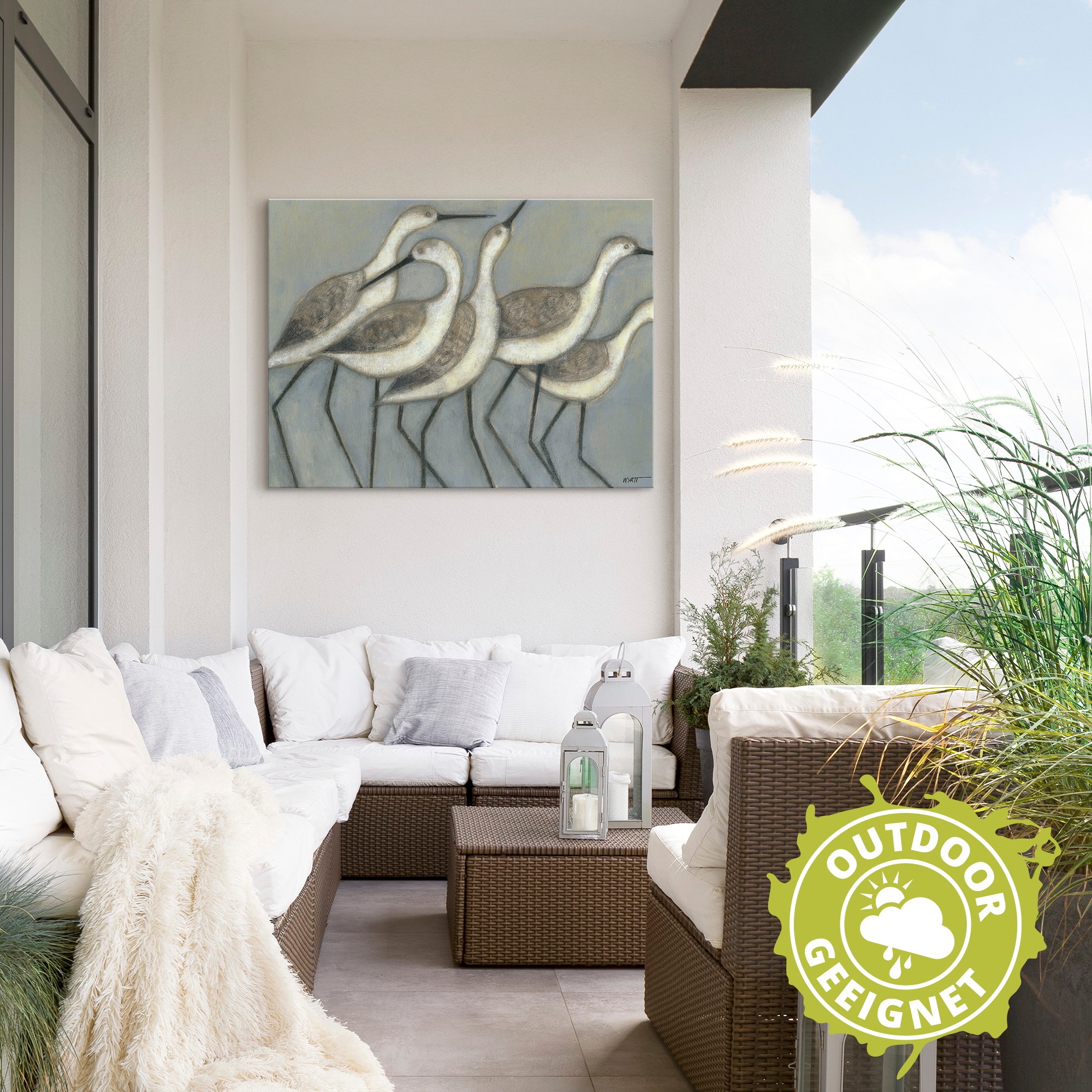 Artland Alu-Dibond-Druck "Küstenvögel II" Vögel 1 Stk. tlg. für Innen- und günstig online kaufen