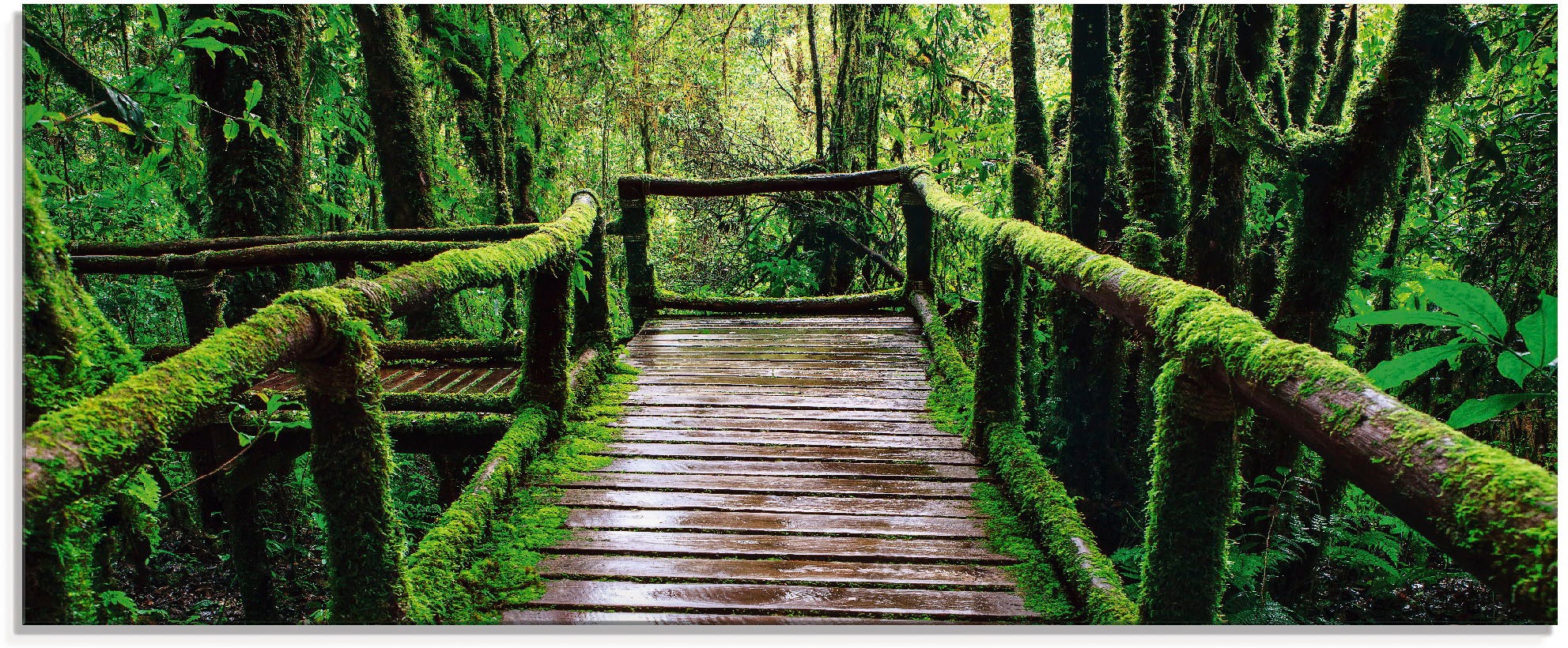 Artland Glasbild "Brückenpfad im Wald", Asien, (1 St.), in verschiedenen Größen