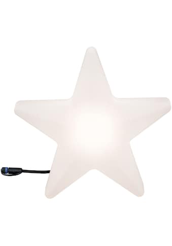 Paulmann LED Stern »Weihnachtsstern, Plug & Shine Lichtobjekt Star, Weihnachtsdeko... kaufen