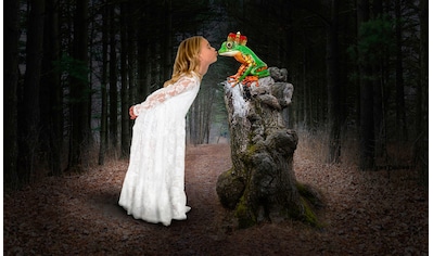 Fototapete »Prinzessin küsst den Frosch«