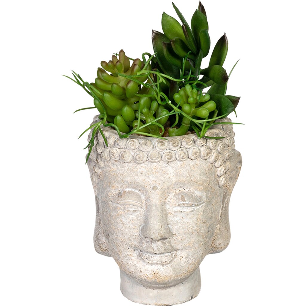 Creativ green Künstliche Zimmerpflanze »Sukkulentenarrangement«, im Gefäß aus Zement, 2er Set