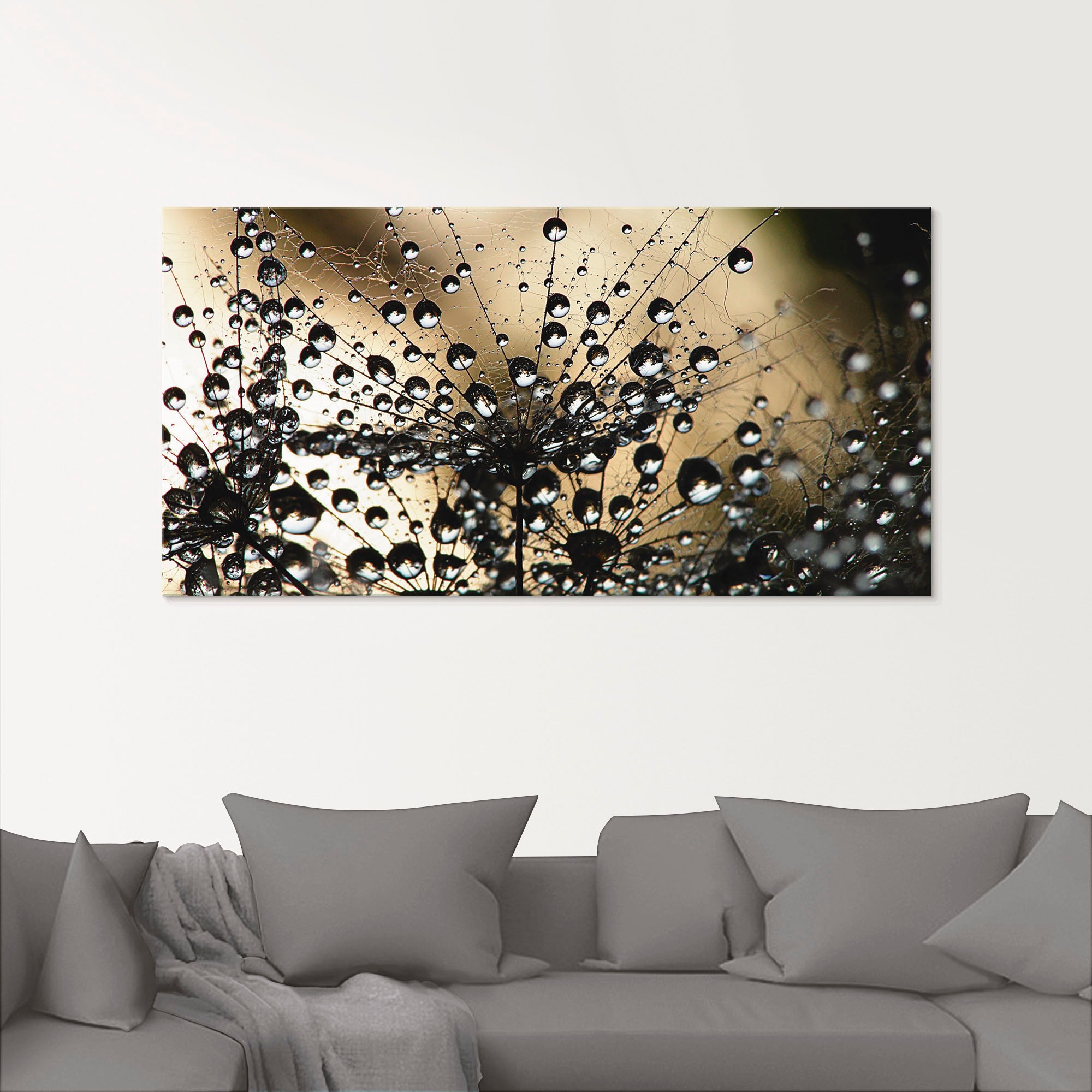 Glasbild ARTLAND "Nasser Löwenzahn", schwarz (farbe bild(er): schwarz), B:80cm H:60cm, Bilder, in verschiedenen Größen 2