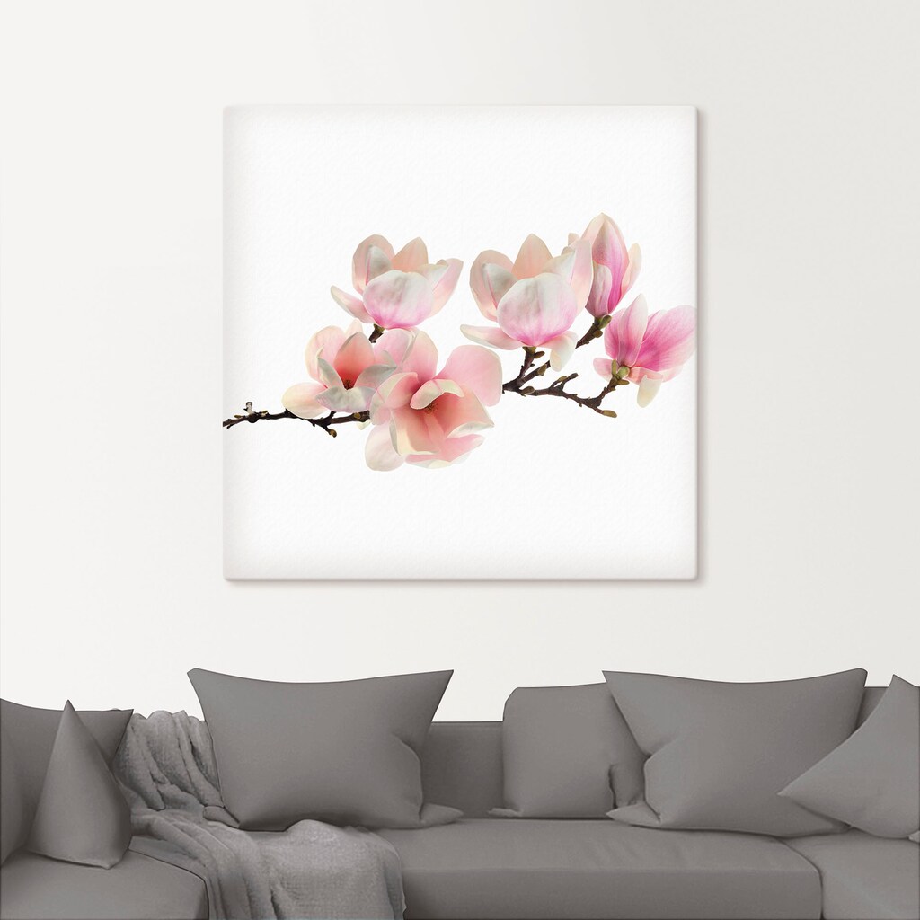 Artland Wandbild »Magnolie«, Blumen, (1 St.)