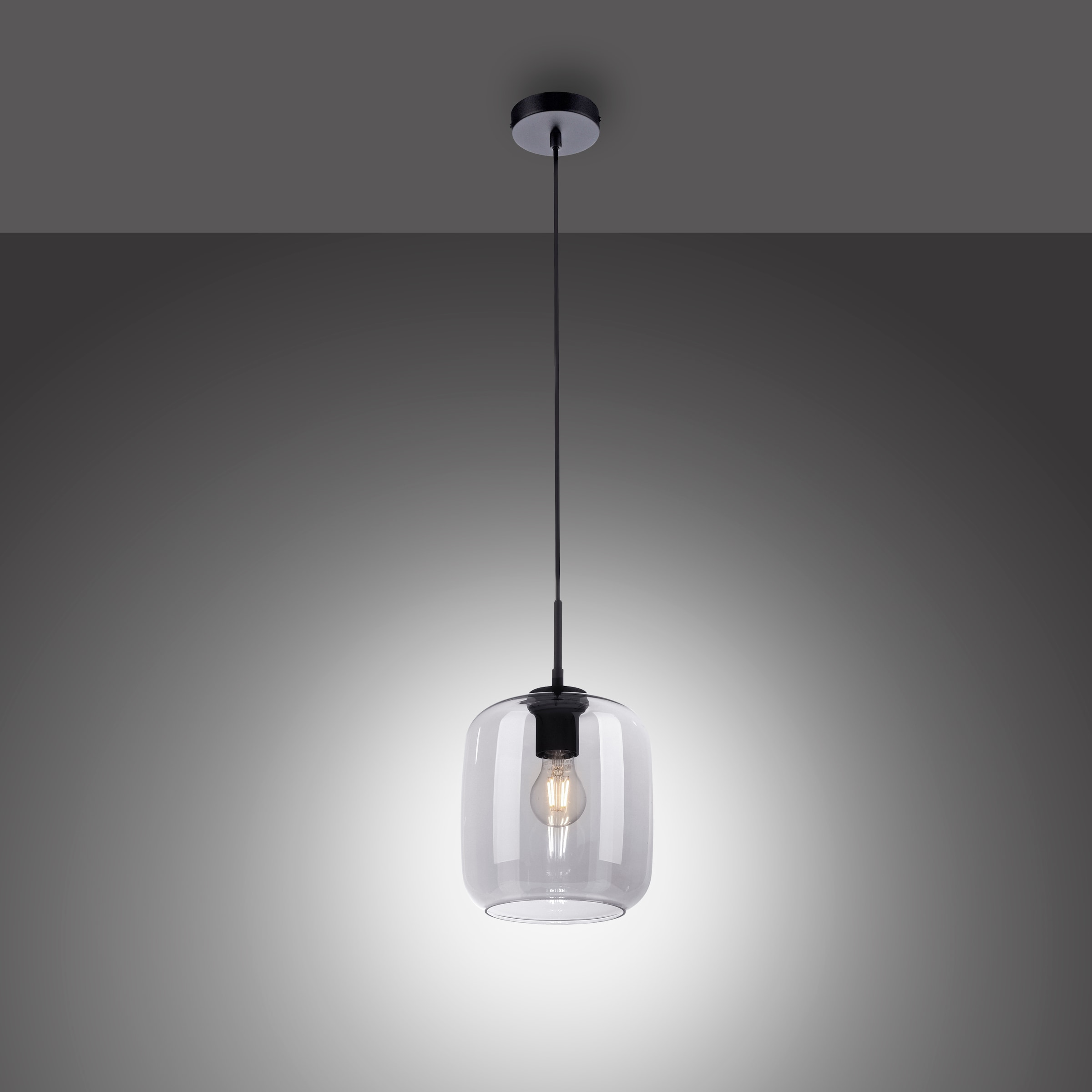 Paul Neuhaus Pendelleuchte "SHITAKE" E27 1 Stk. günstig online kaufen