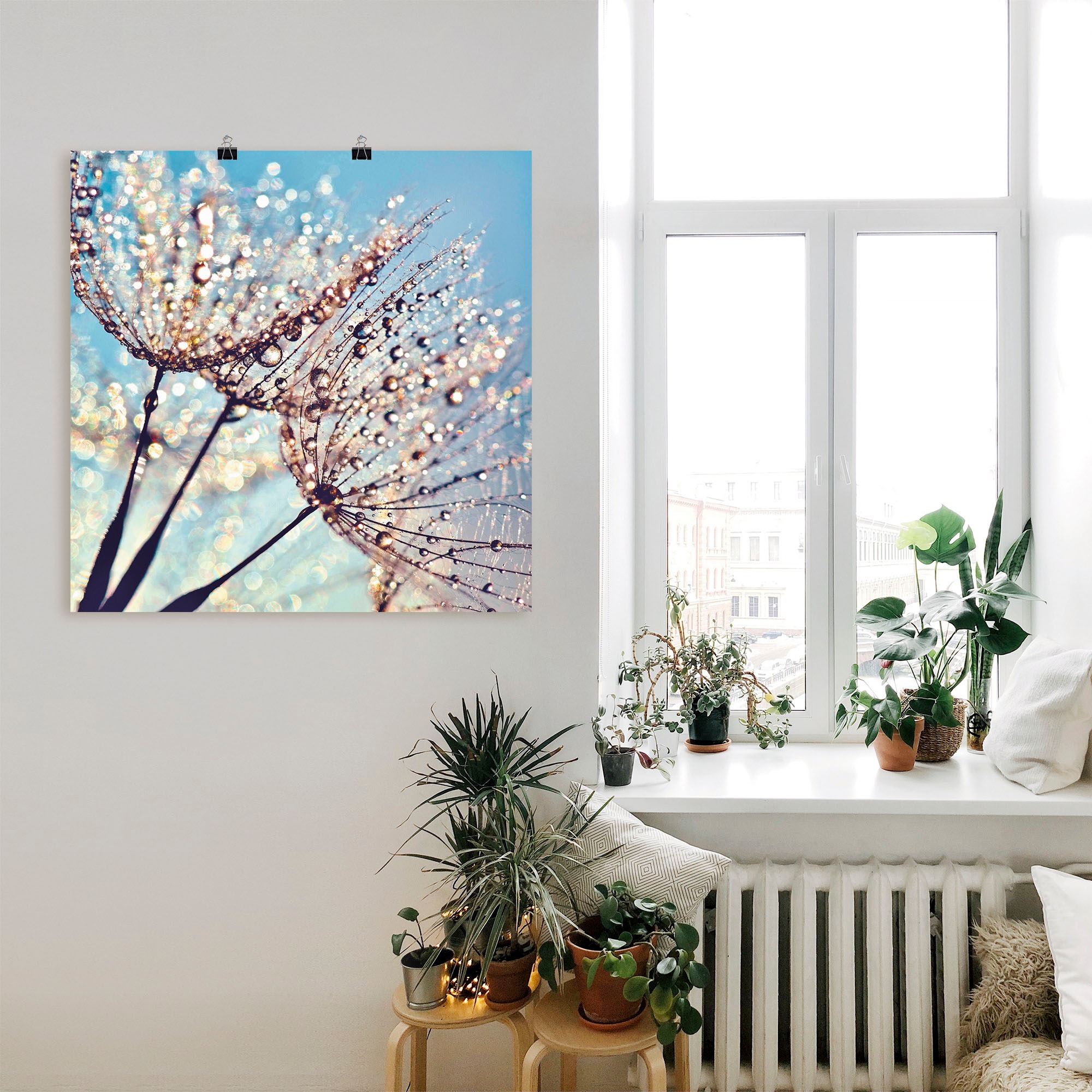 Artland Poster »Pusteblume Tröpfchenfänger« Blumen 1 Stk. tlg. als Alubild, Outdoorbild, Leinwandbild, Poster in verschied. Größen