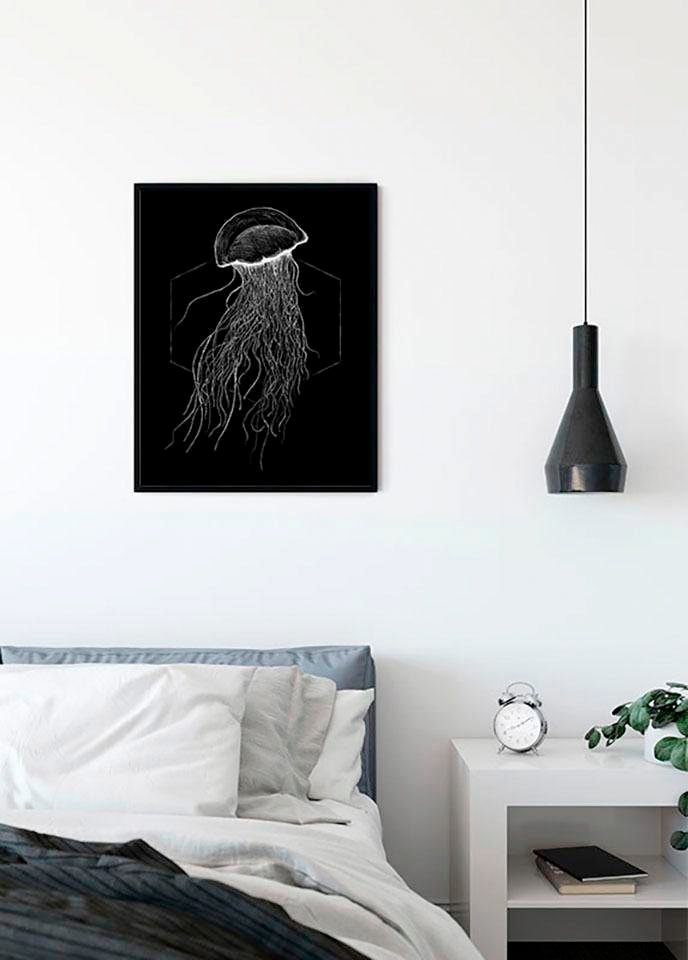 Komar Poster "Jellyfish Black", Tiere, (1 St.), Kinderzimmer, Schlafzimmer, Wohnzimmer