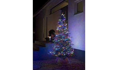 LED-Lichterkette »Weihnachtsdeko aussen«, 800 St.-flammig
