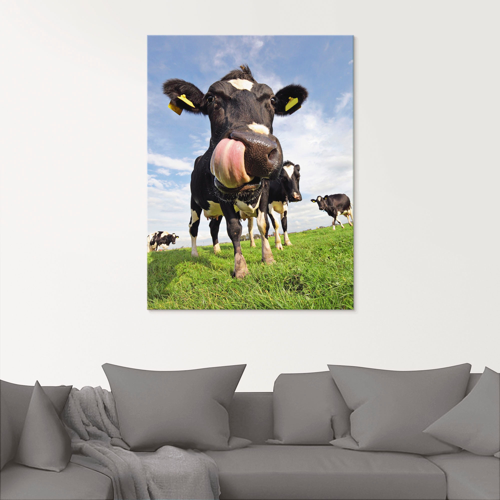 Artland Glasbild "Holstein-Kuh mit gewaltiger Zunge" Haustiere 1 Stk. tlg. günstig online kaufen