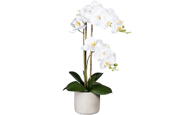 Kunstorchidee »Phalaenopsis«