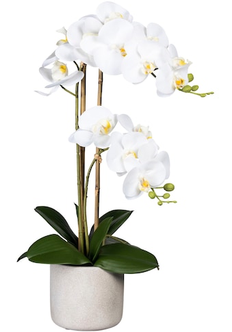 Kunstorchidee »Phalaenopsis«