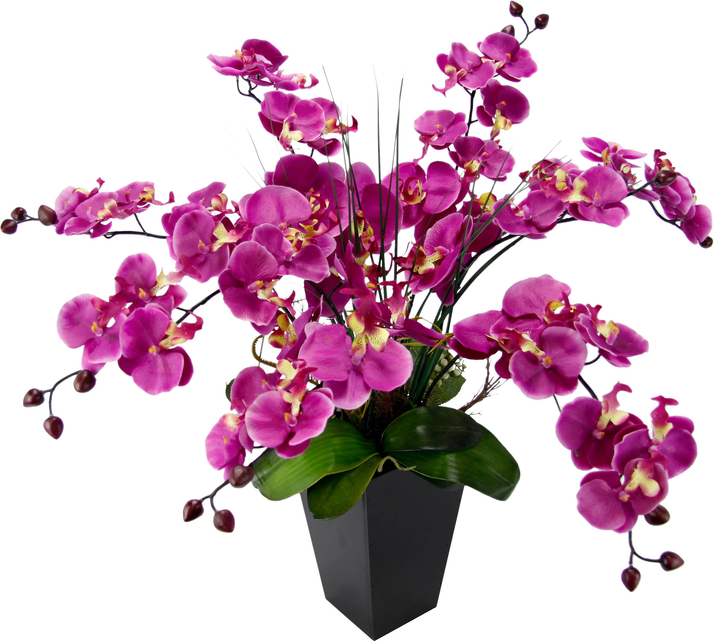 I.GE.A. Kunstpflanze »Phalaenopsis im Topf« kaufen