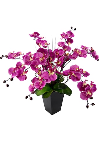 Kunstpflanze »Phalaenopsis im Topf«