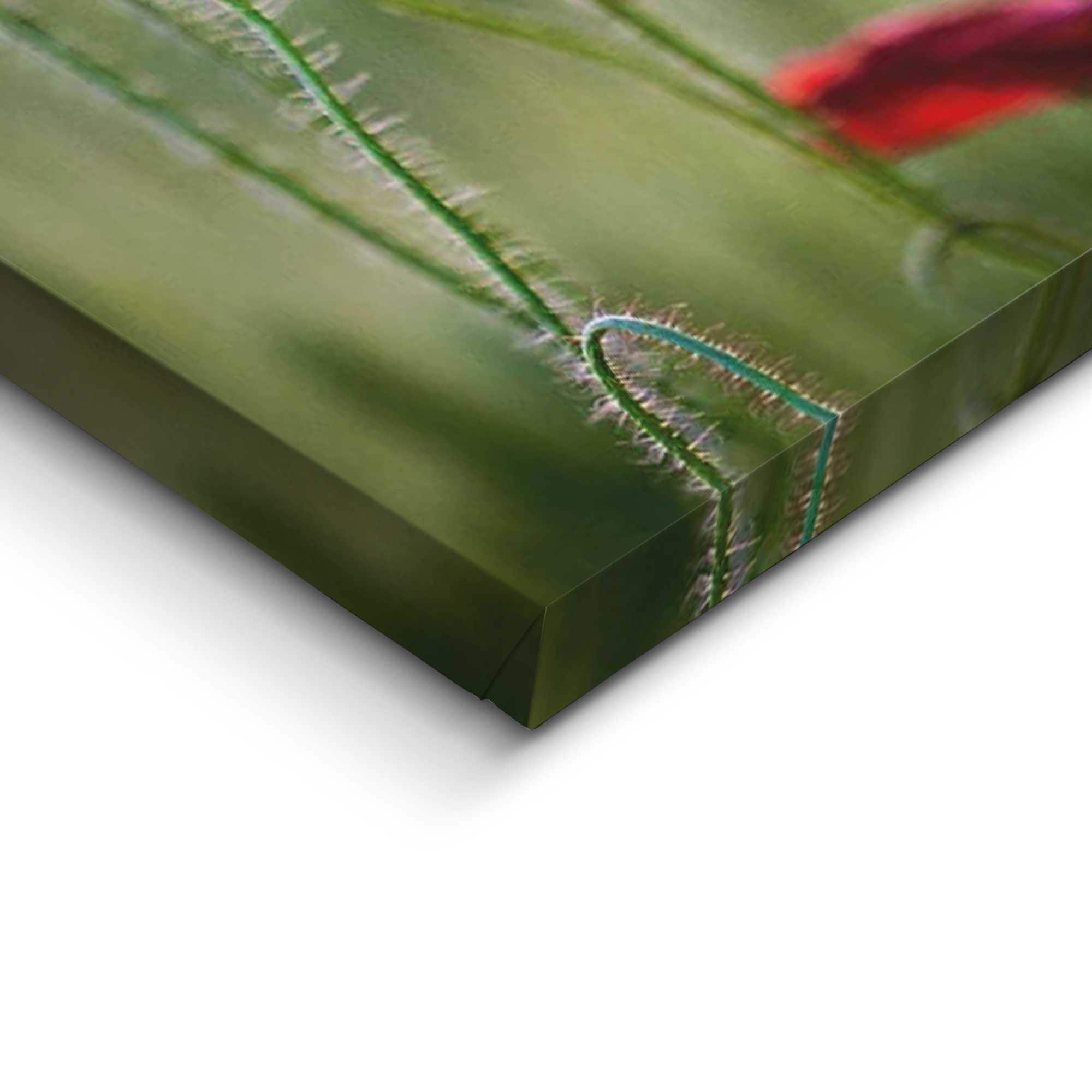 Reinders! Holzbild »Deco Block 70x118 Wild Poppies«