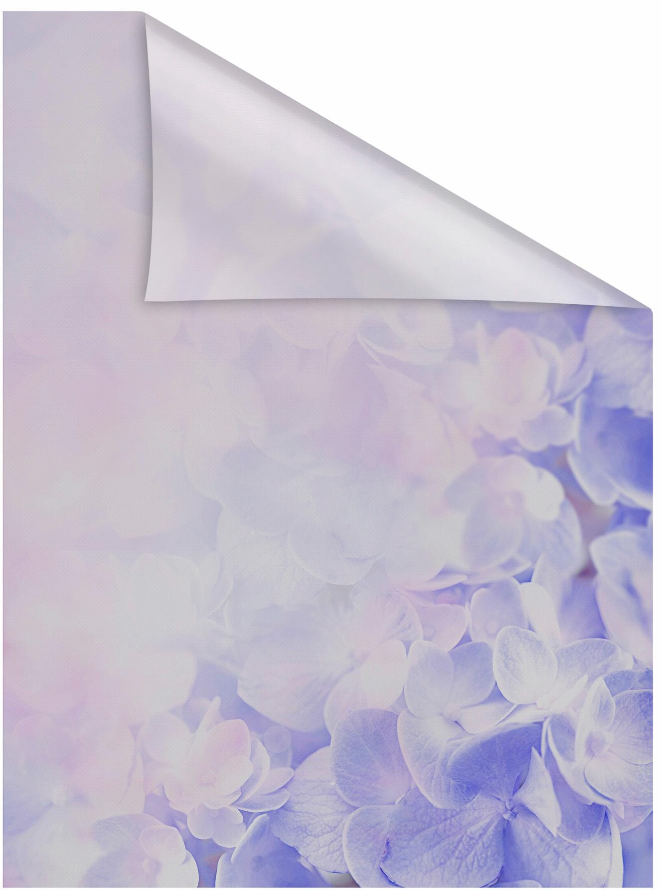 LICHTBLICK ORIGINAL Fensterfolie "Hortensie" 1 Stk. blickdicht strukturiert günstig online kaufen