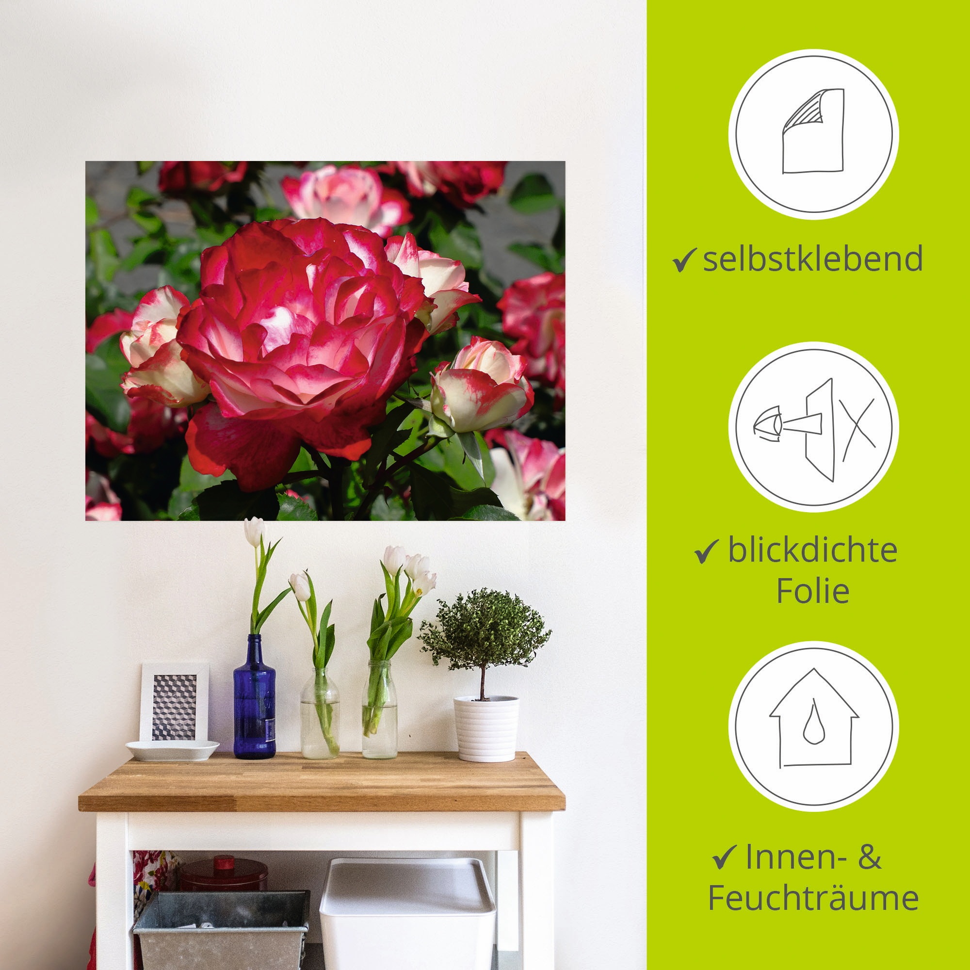 Artland Wandbild »Rot weiße Rosenblüte«, Blumen, (1 St.), als Poster, Wandaufkleber in verschied. Größen