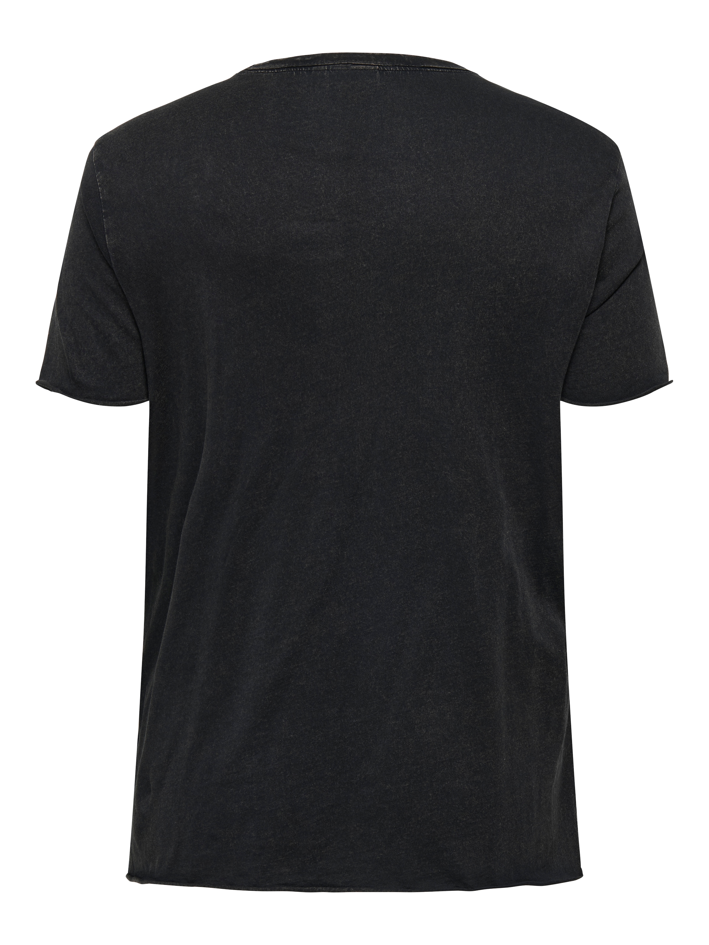 ONLY CARMAKOMA Kurzarmshirt »CARMIKO LIFE WASHED SS REG TEE JRS«