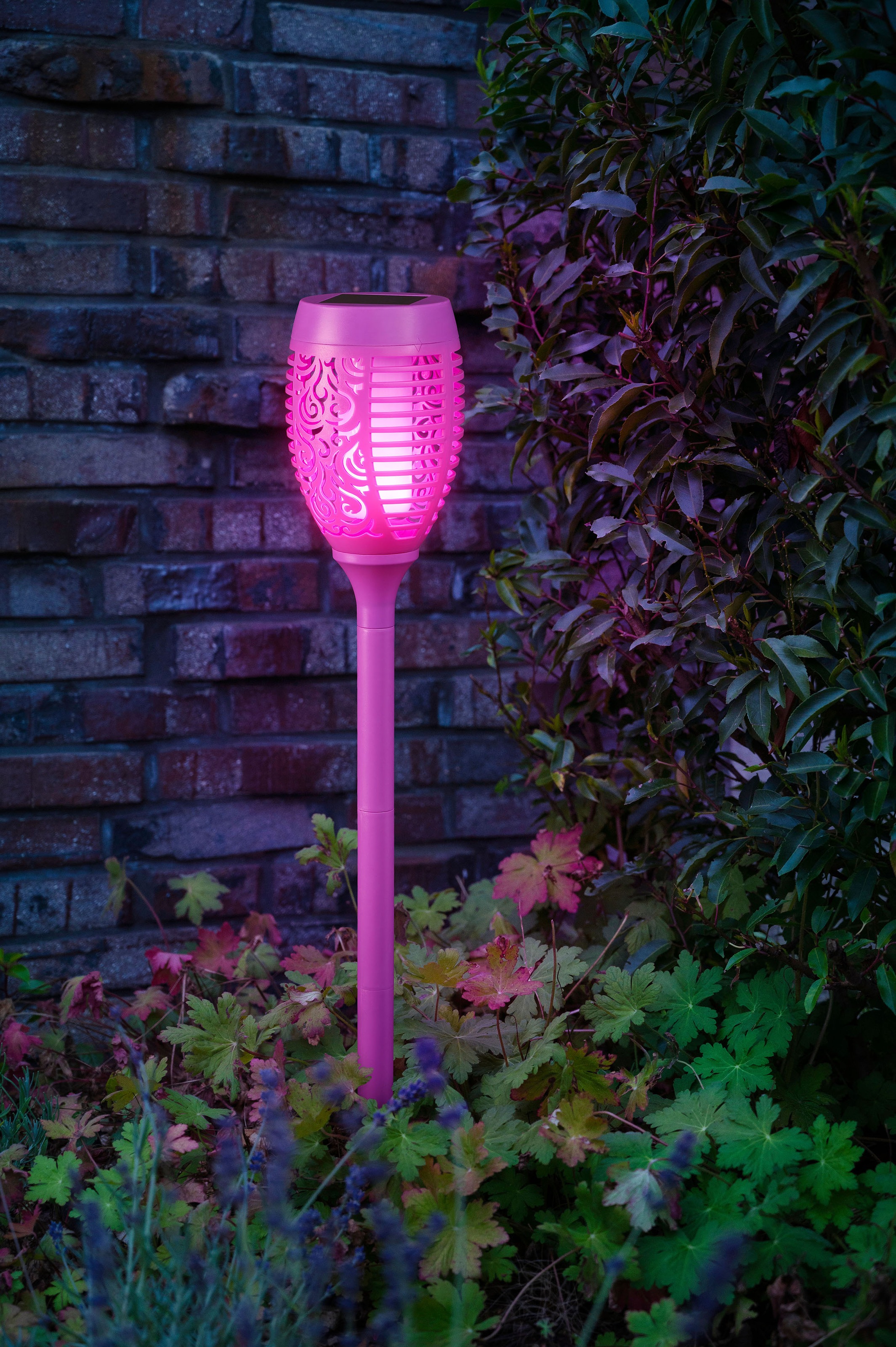 kaufen Gartenfackel realer LED LED Solar BAUR | 3er Flamme Set BONETTI Gartenfackel, lila mit