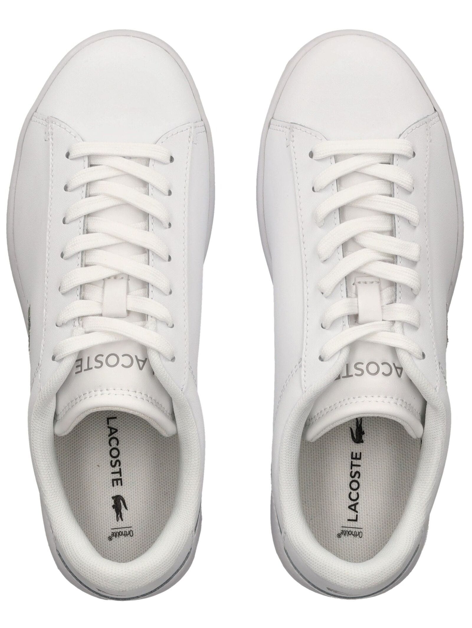 Lacoste Sneaker »lacoste Sneaker Leder«