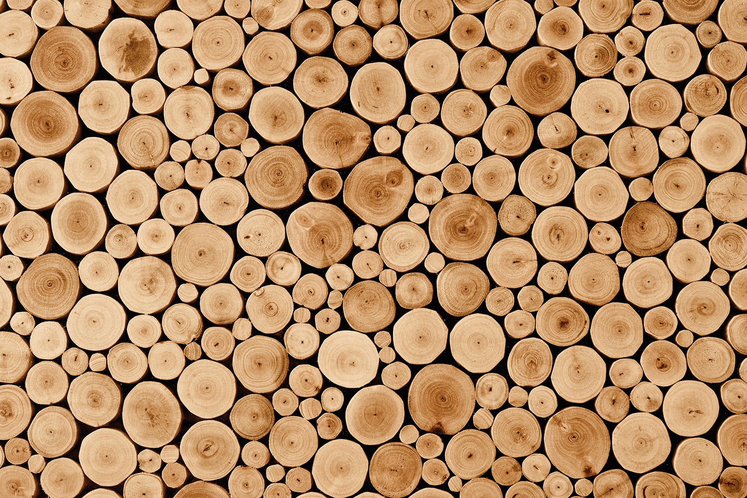Papermoon "Round Teak Wood" glatt