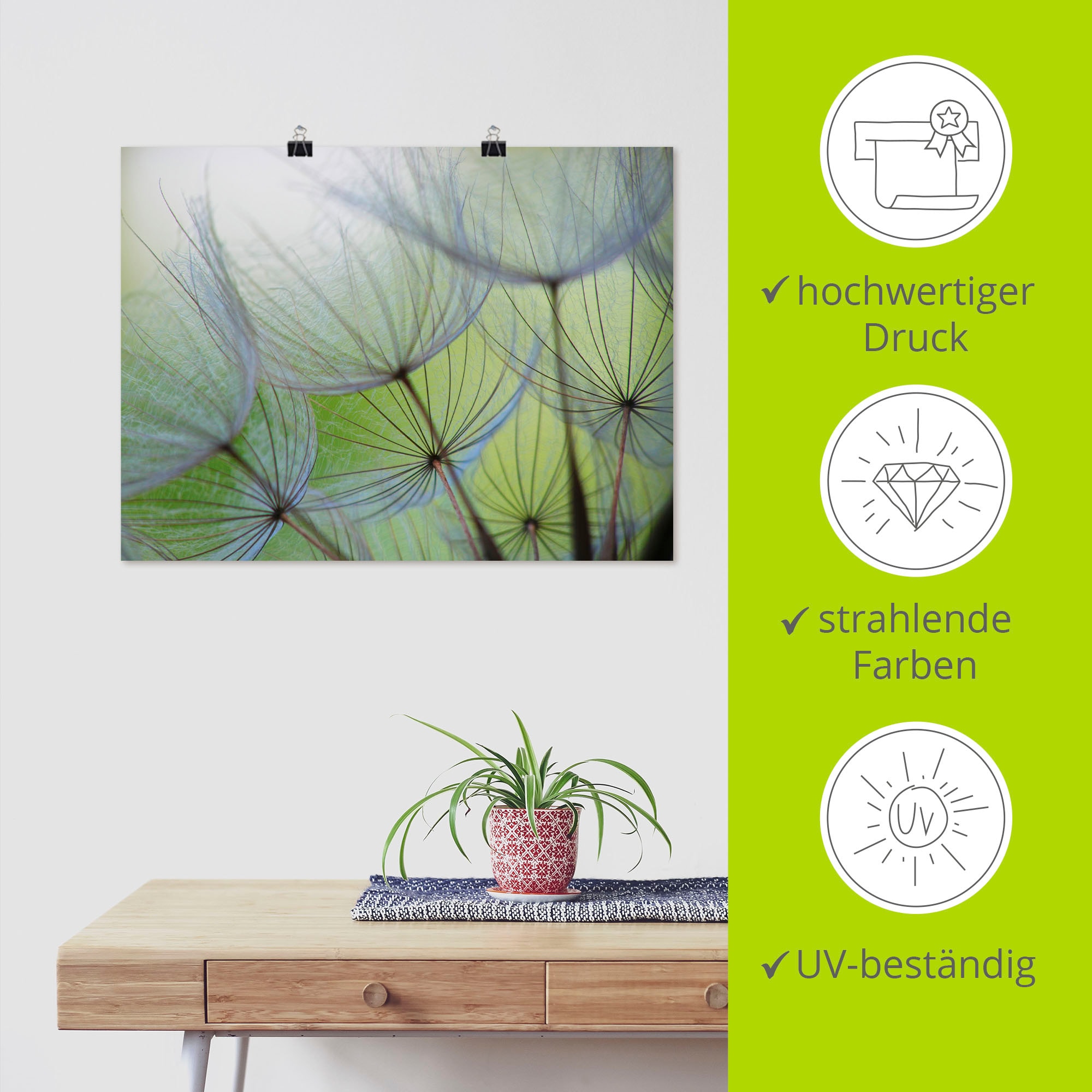 Artland Wandbild »Pusteblumen-Samen II«, Blumen, (1 St.), als Leinwandbild, Poster in verschied. Größen