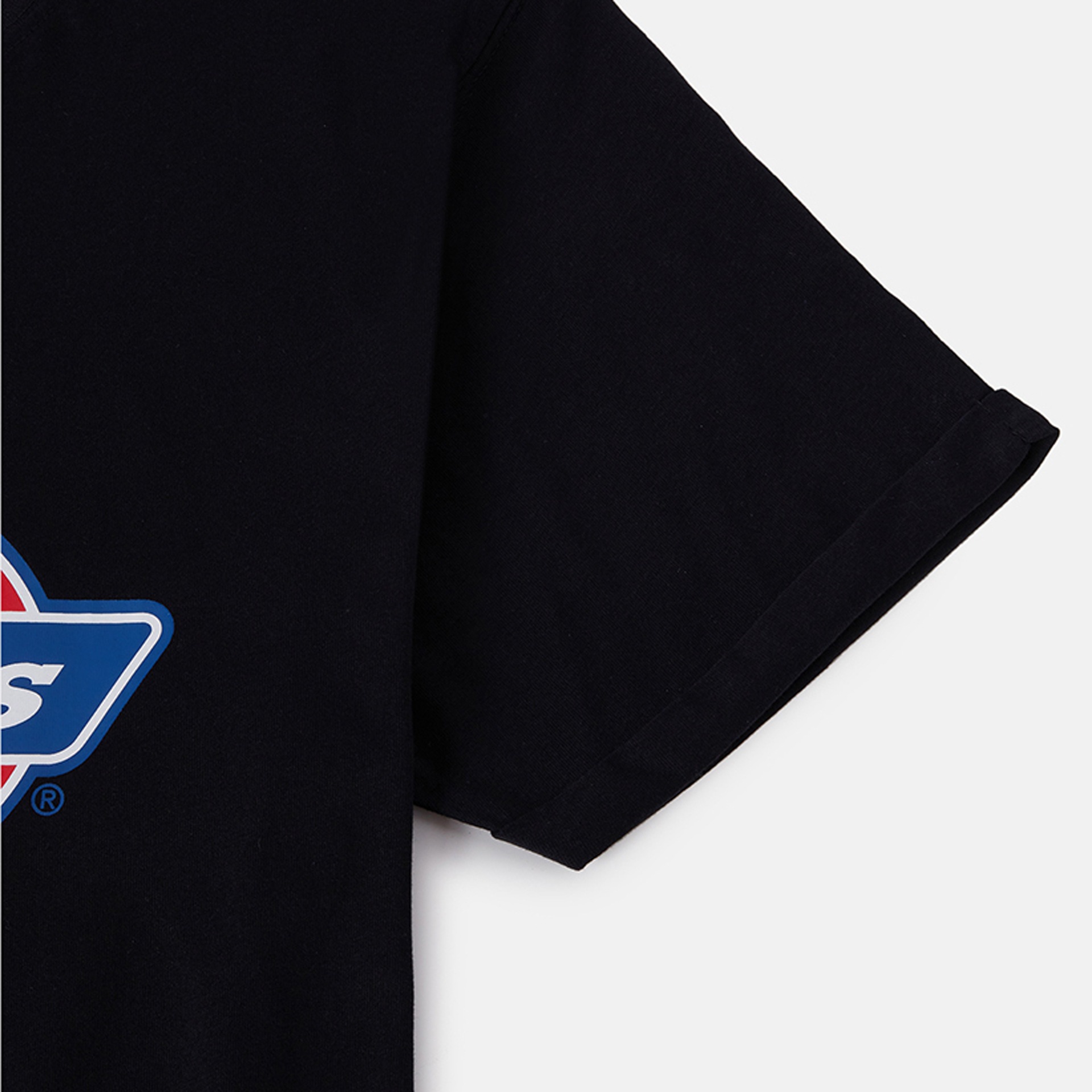 Dickies T-Shirt »Dickies Workwear T-Shirt DENISON T-SHIRT«