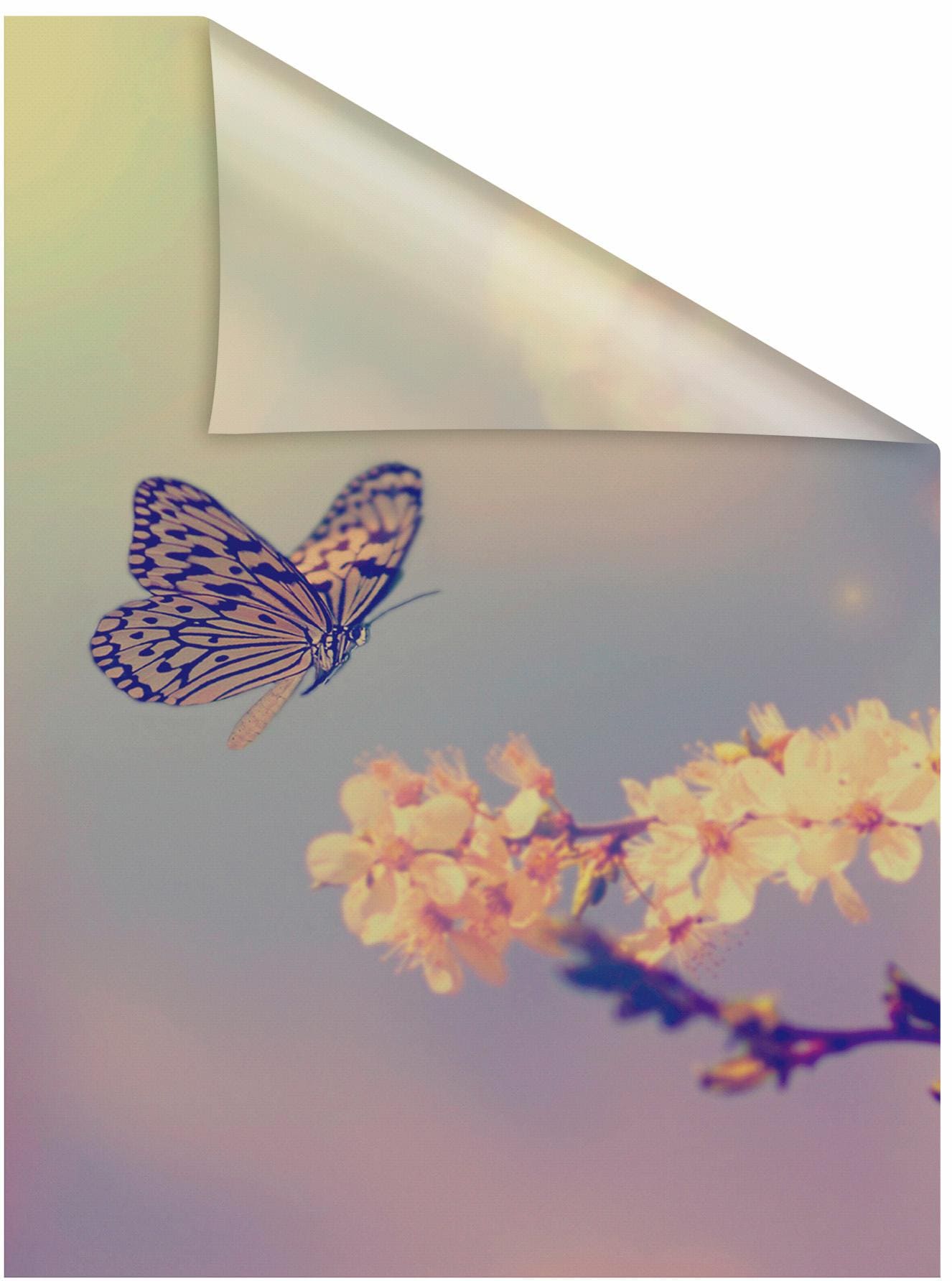 LICHTBLICK ORIGINAL Fensterfolie "Schmetterling Blüte" 1 Stk. blickdicht st günstig online kaufen