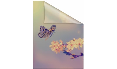 LICHTBLICK ORIGINAL Fensterfolie »Schmetterling Blüte«, 1 St., blickdicht,... kaufen