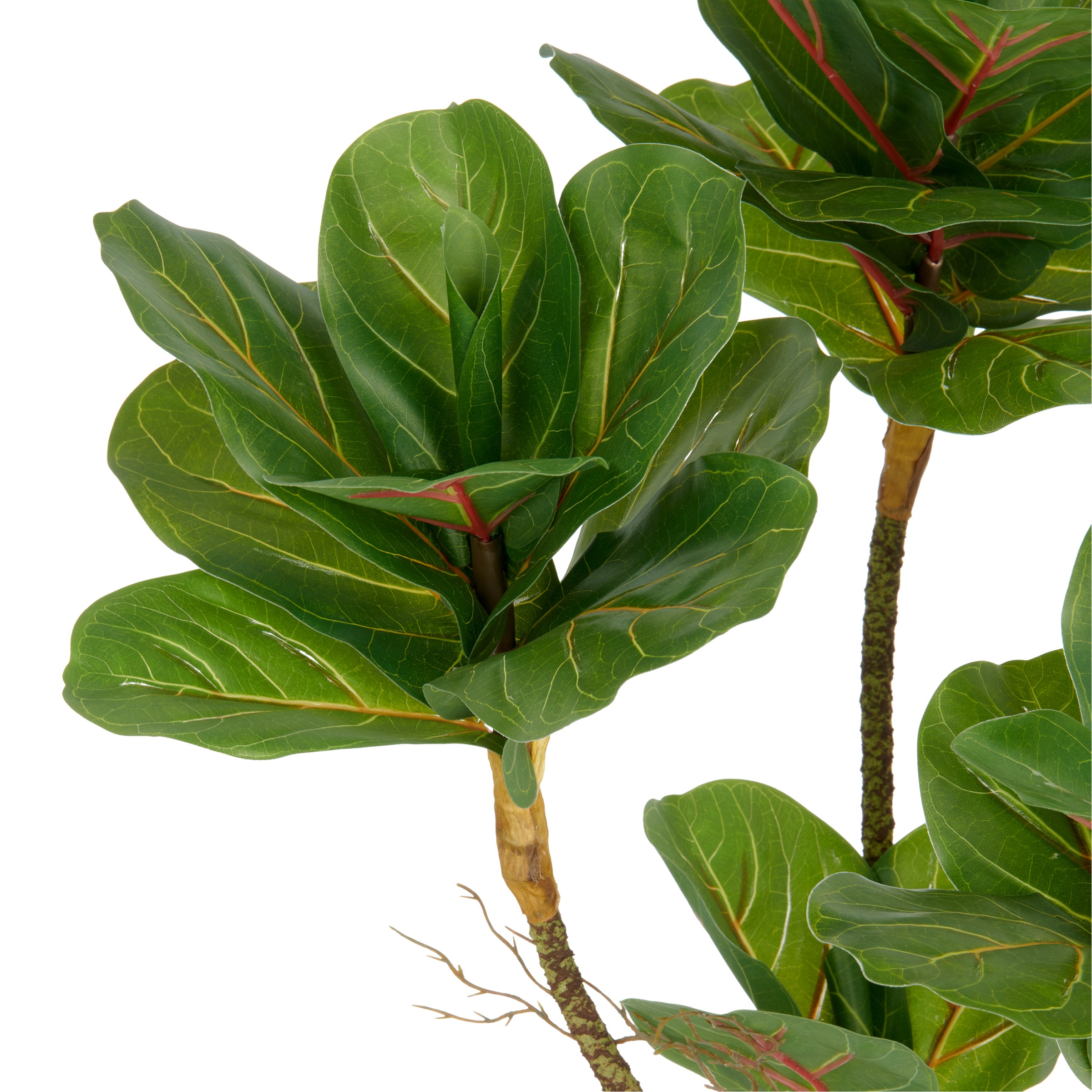 Creativ green Kunstpflanze »Ficus lyrata«, mit Luftwurzeln