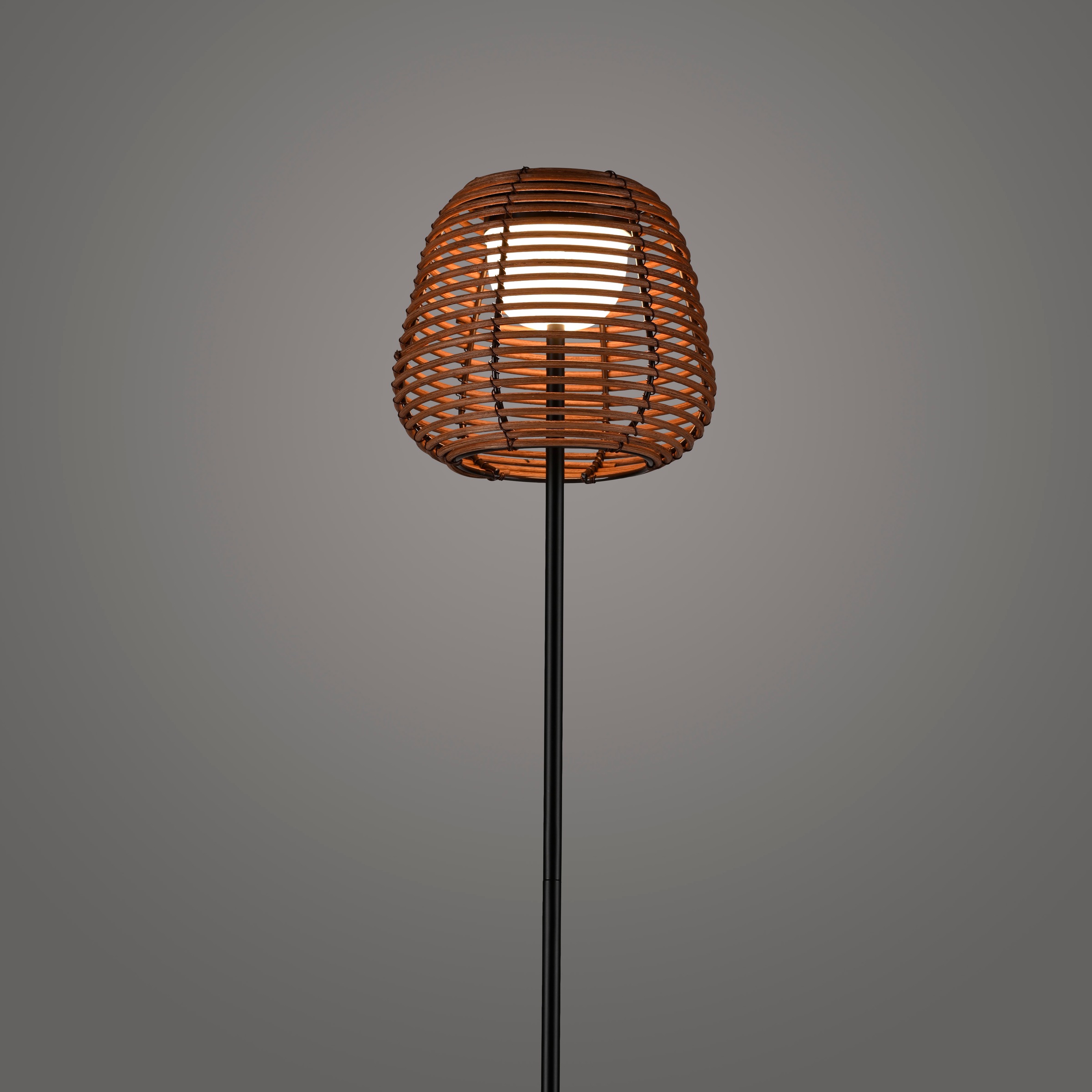 JUST LIGHT Stehlampe »ASKIA«, 1 flammig, Leuchtmittel LED-Modul | LED fest integriert, Akkuleuchte