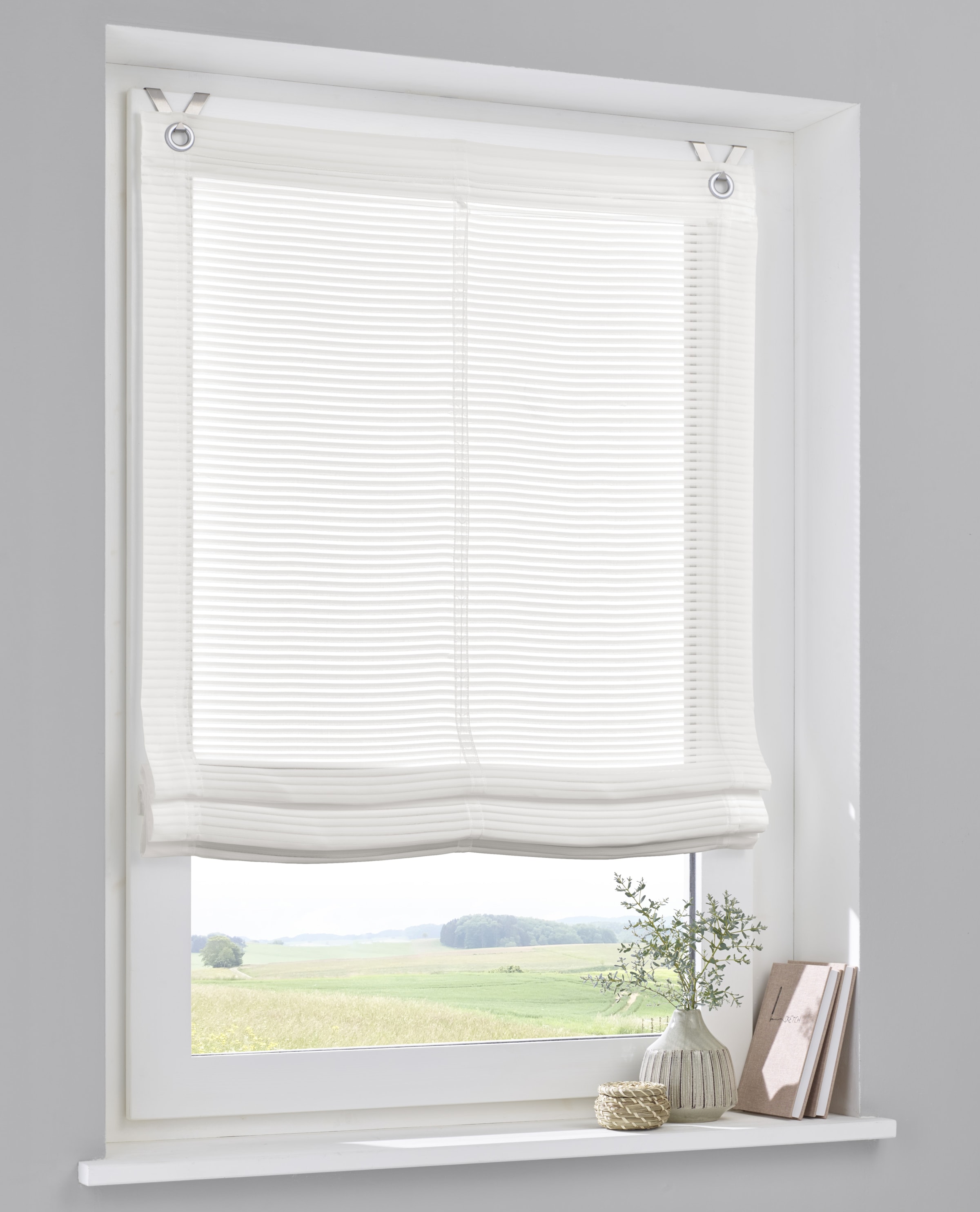 Kutti Raffrollo "Areggo mit Ösen, halbtransparent" mit Hakenaufhängung ohne günstig online kaufen