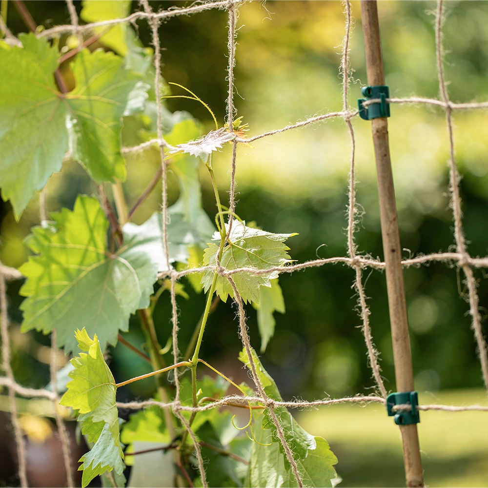 Windhager Rankhilfe »Jute Ranknetz Greenline« Maschenweite 15 cm, Kletternetz ideal für Gemüse, 180 x 250 cm, grün