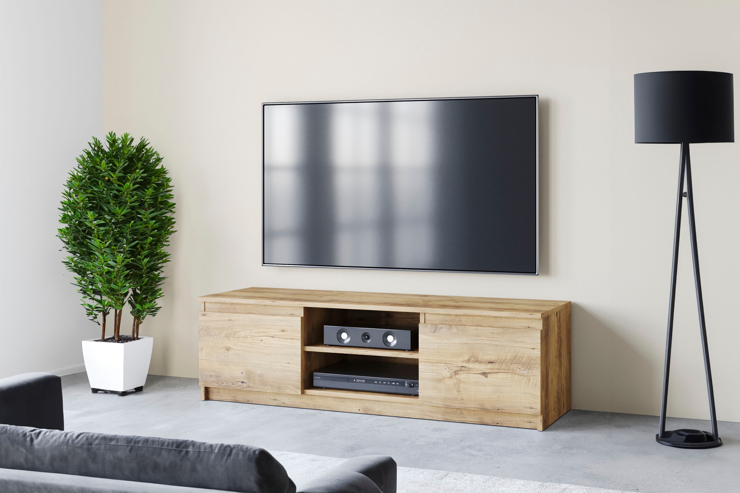 Home affaire Lowboard "DINGO" zeitloser TV-Schrank, TV-Board Breite 120 cm, günstig online kaufen