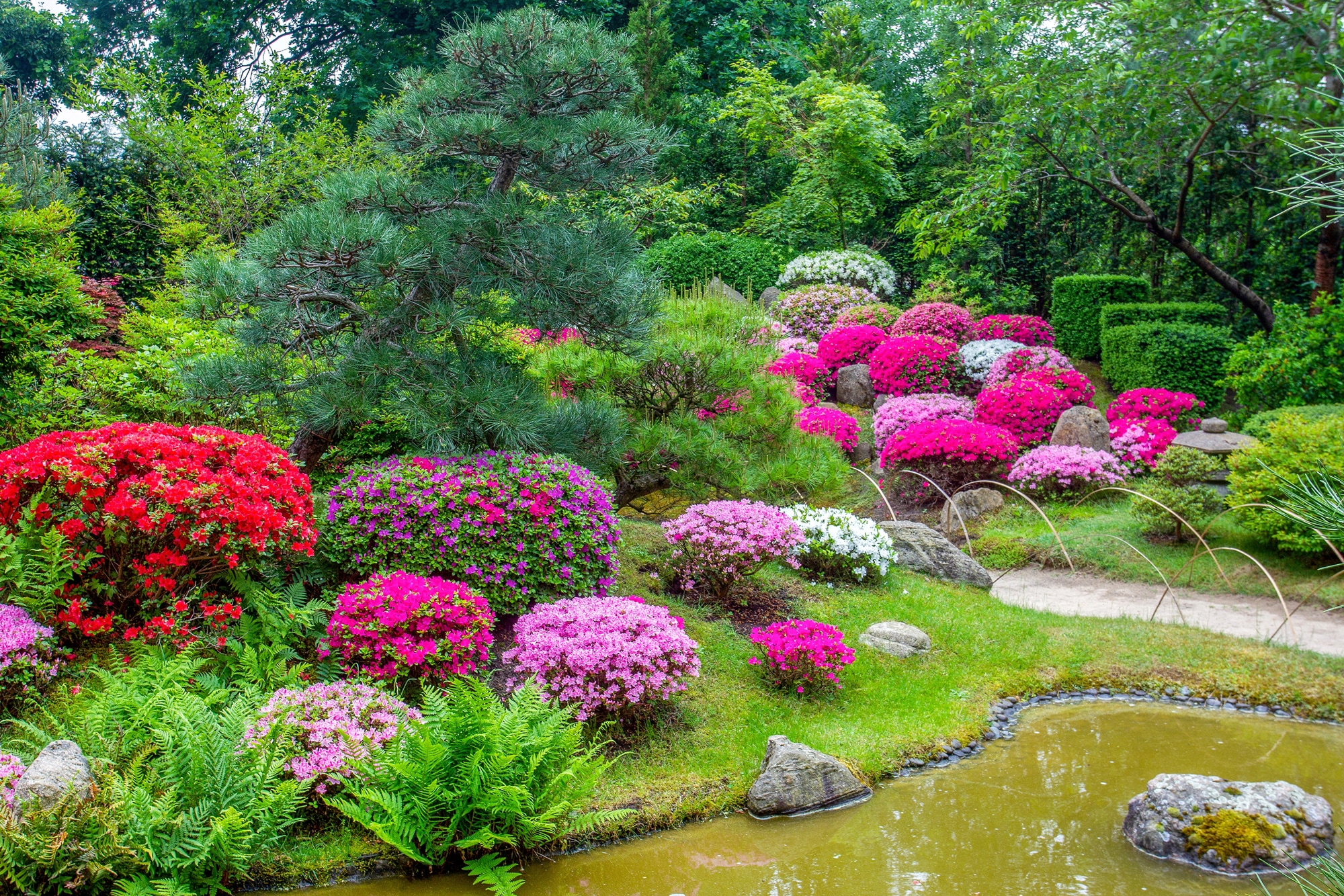 Papermoon "GARTEN-BLUMEN BÄUME PFLANZEN STEINE WALD PARK BLÜTEN"