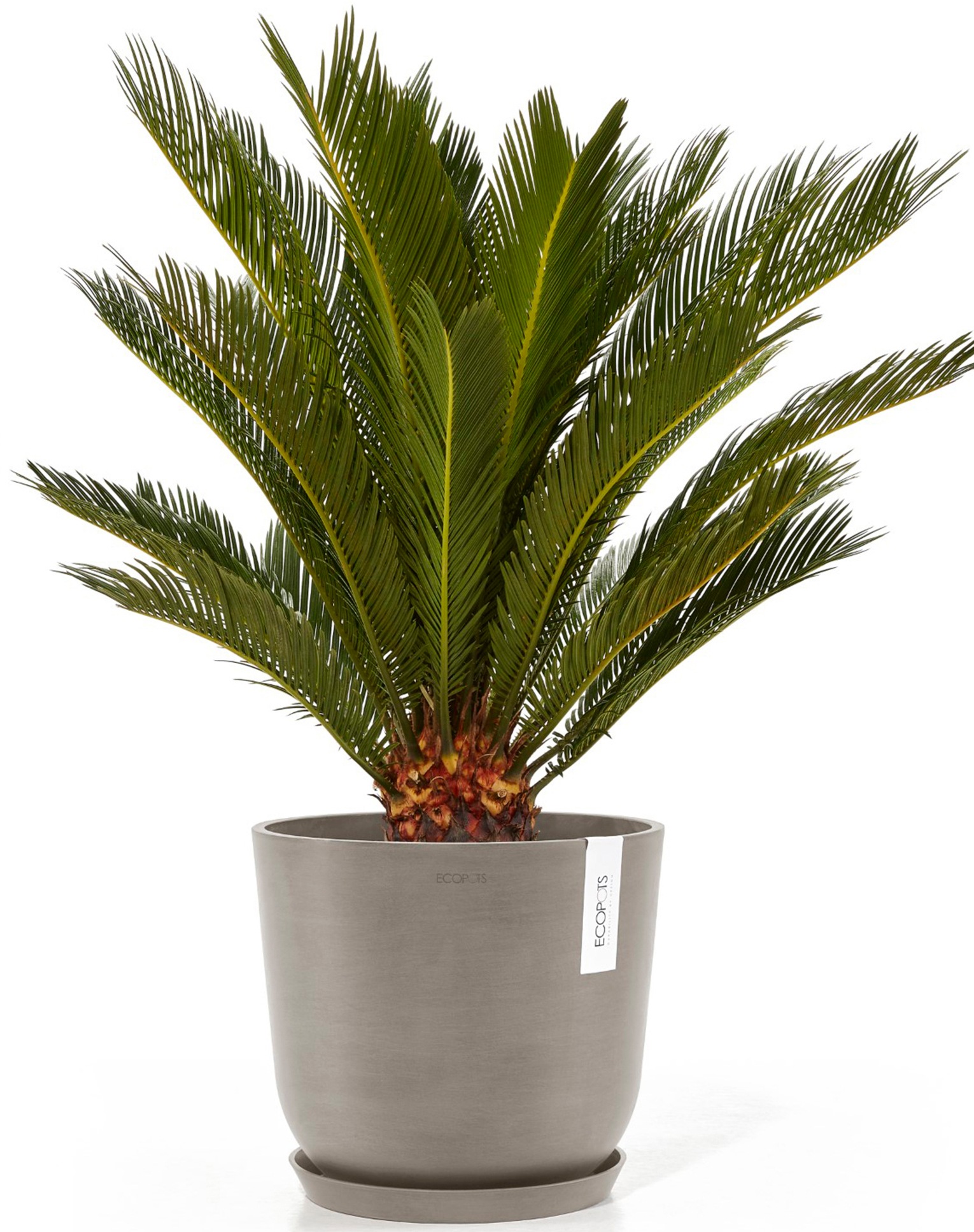 ECOPOTS Blumentopf »Oslo 25 + Wassersystem Taupe«, für innen und außen: frostsicher, bruchsicher und lichtbeständig