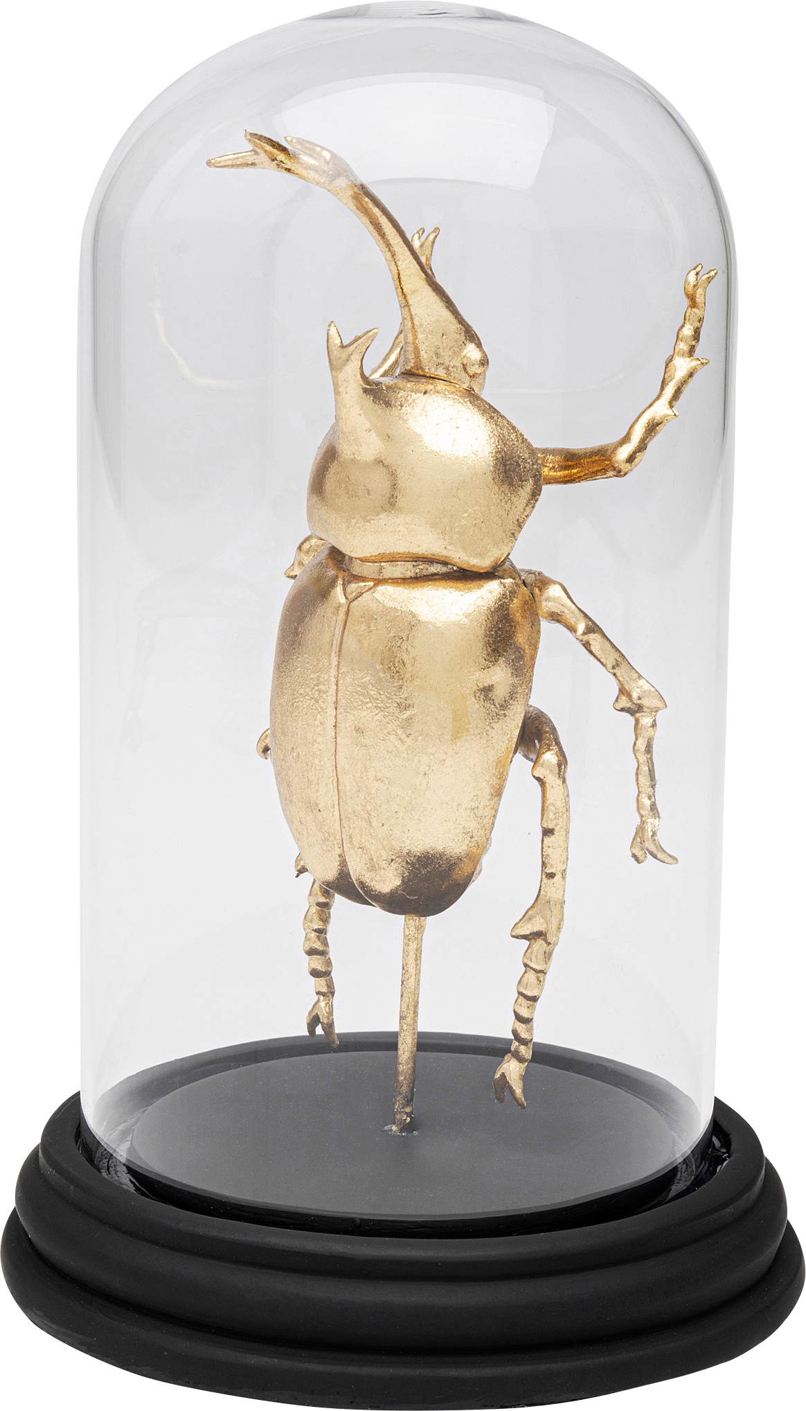 Kare Design Dekoobjekt »Stag Beetle 20cm«