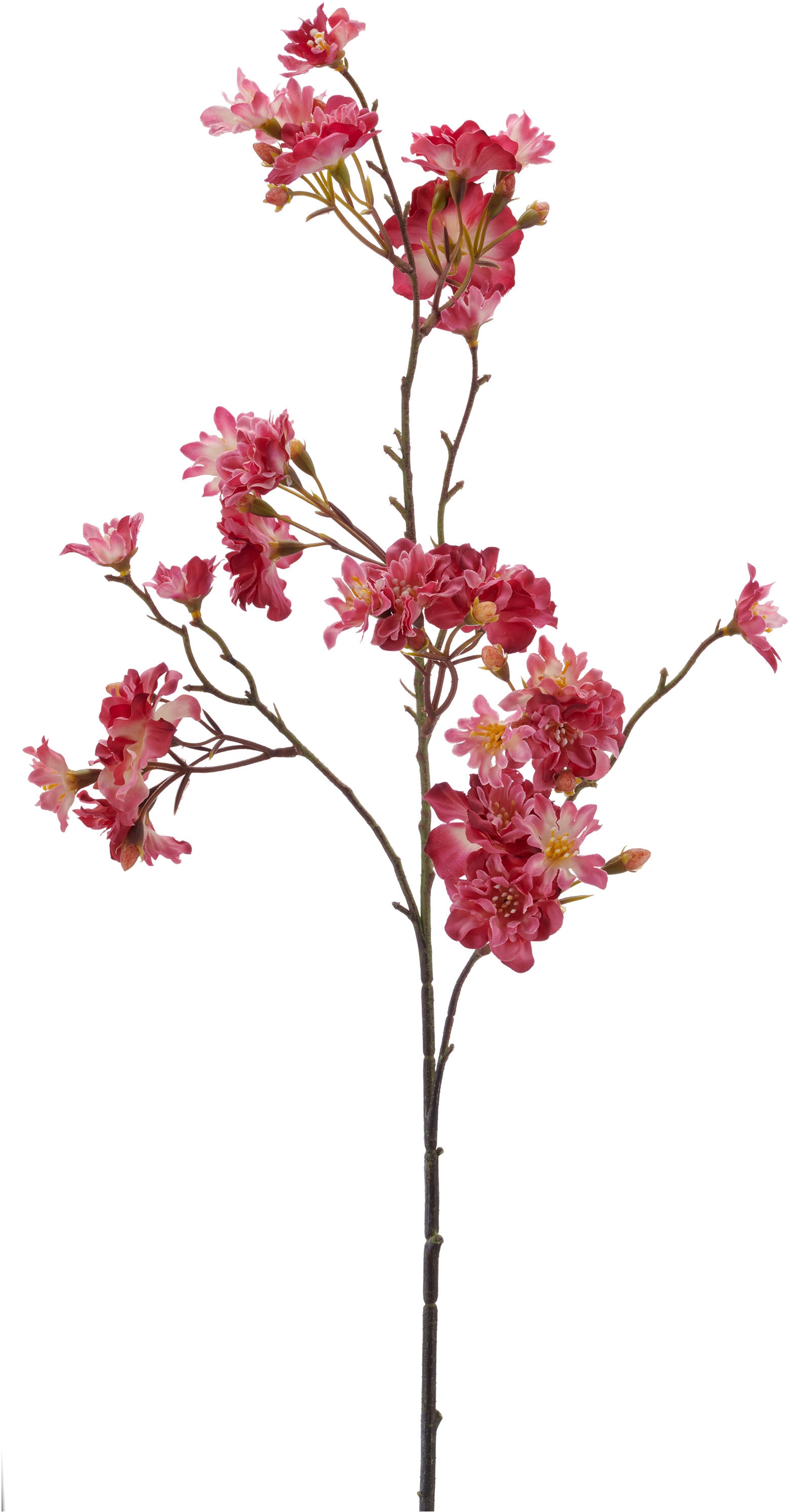 Creativ green Kunstzweig »Kirschblütenzweig« mit traumhaft schönen Blüten