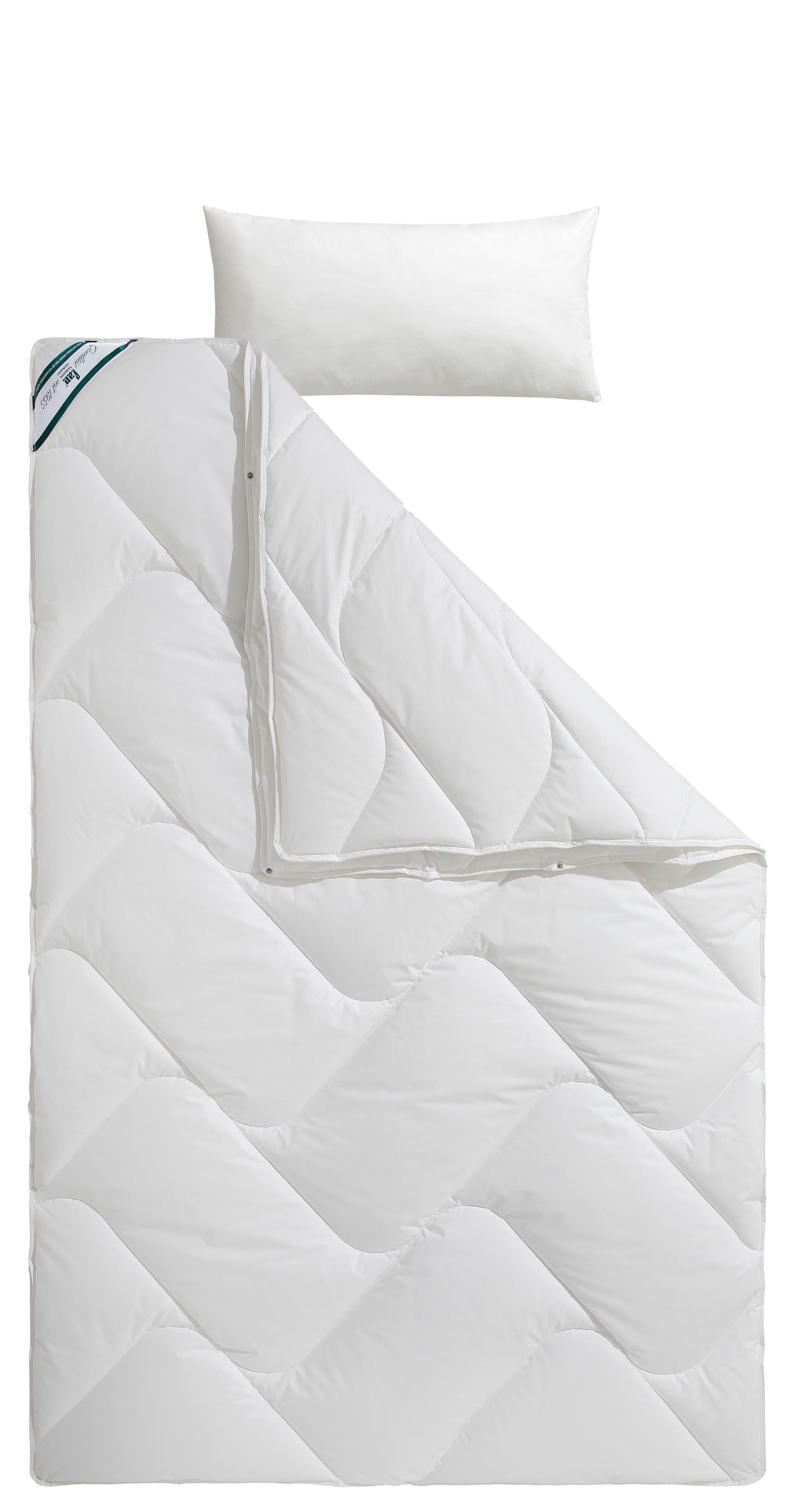 fan Kunstfaserbettdecke »f.a.n. Antibac mit antibakterieller Wirkung«, 4-Jahreszeiten, Füllung Polyester, Bezug Baumwolle, (1 St.), passend zur Bettdecke GRATIS dazu 1 Kopfkissen 40x80 cm!
