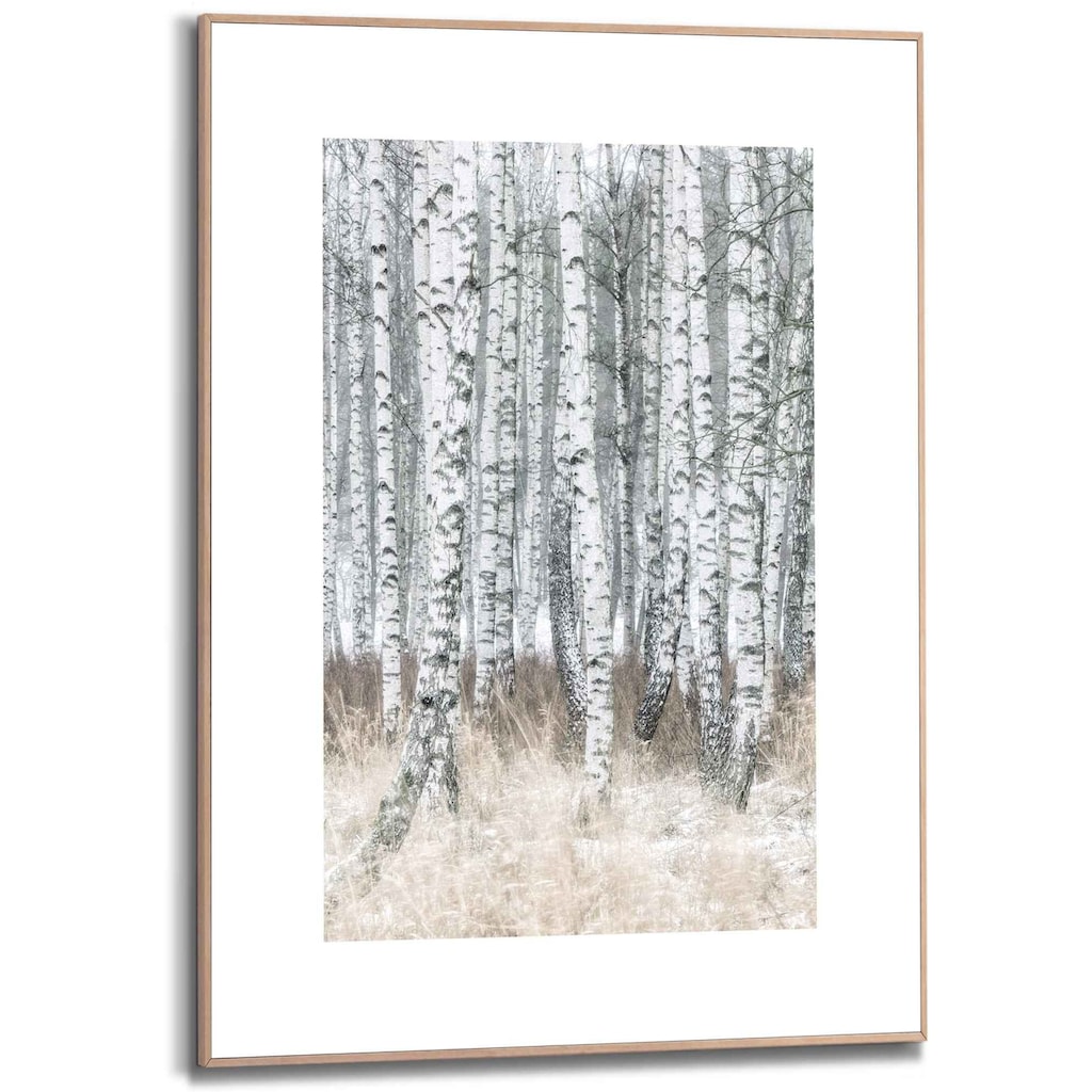 Reinders! Bild »Gerahmtes Bild Birken Naturmotiv - Bäume - Fotografie«, Bäume, (1 St.)