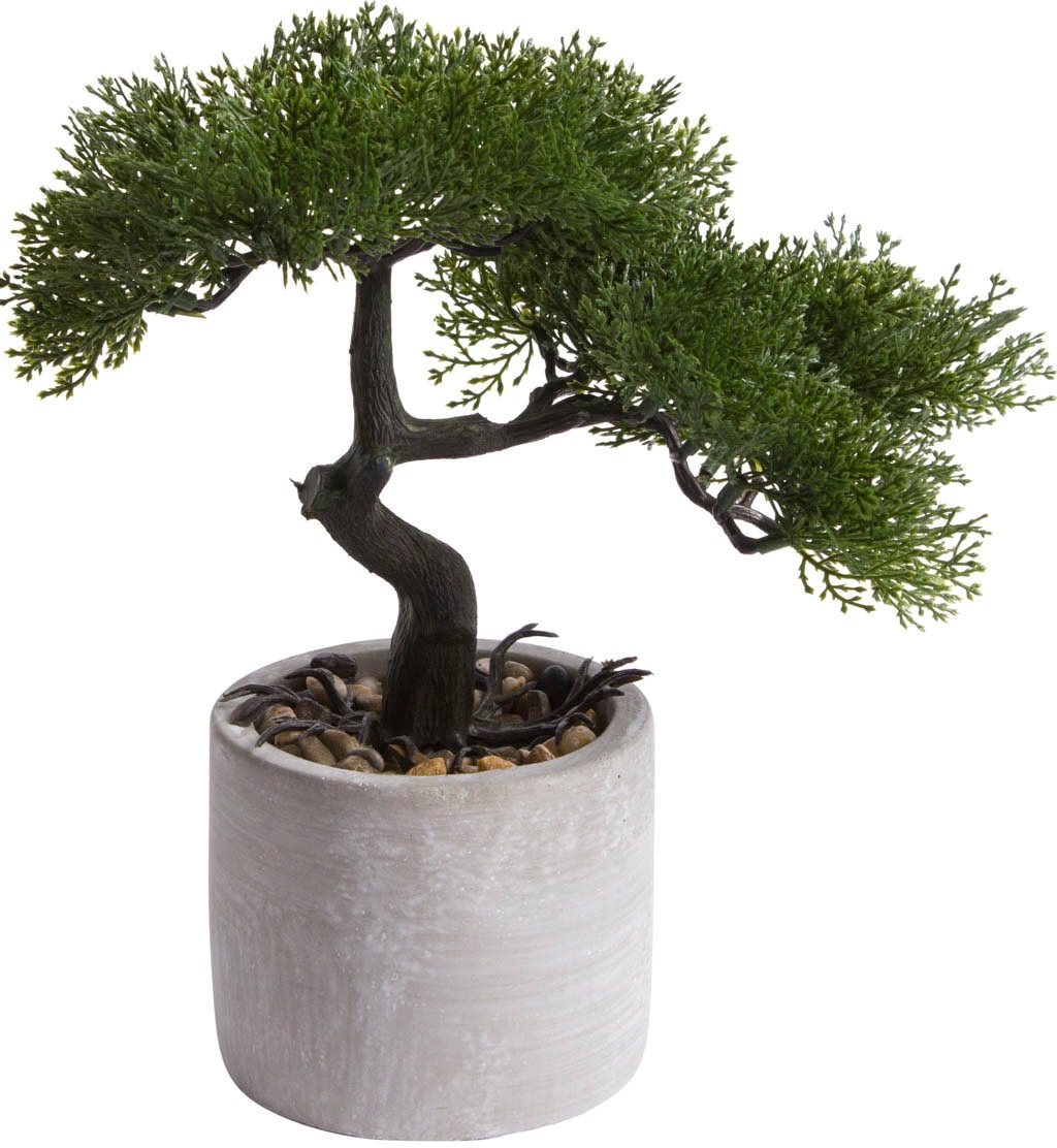 Botanic-Haus Kunstbonsai »Ceder Bonsai«