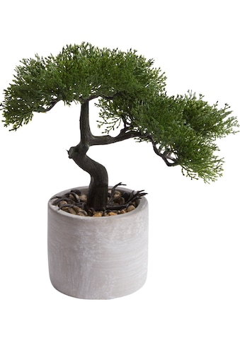 Kunstbonsai »Ceder Bonsai«