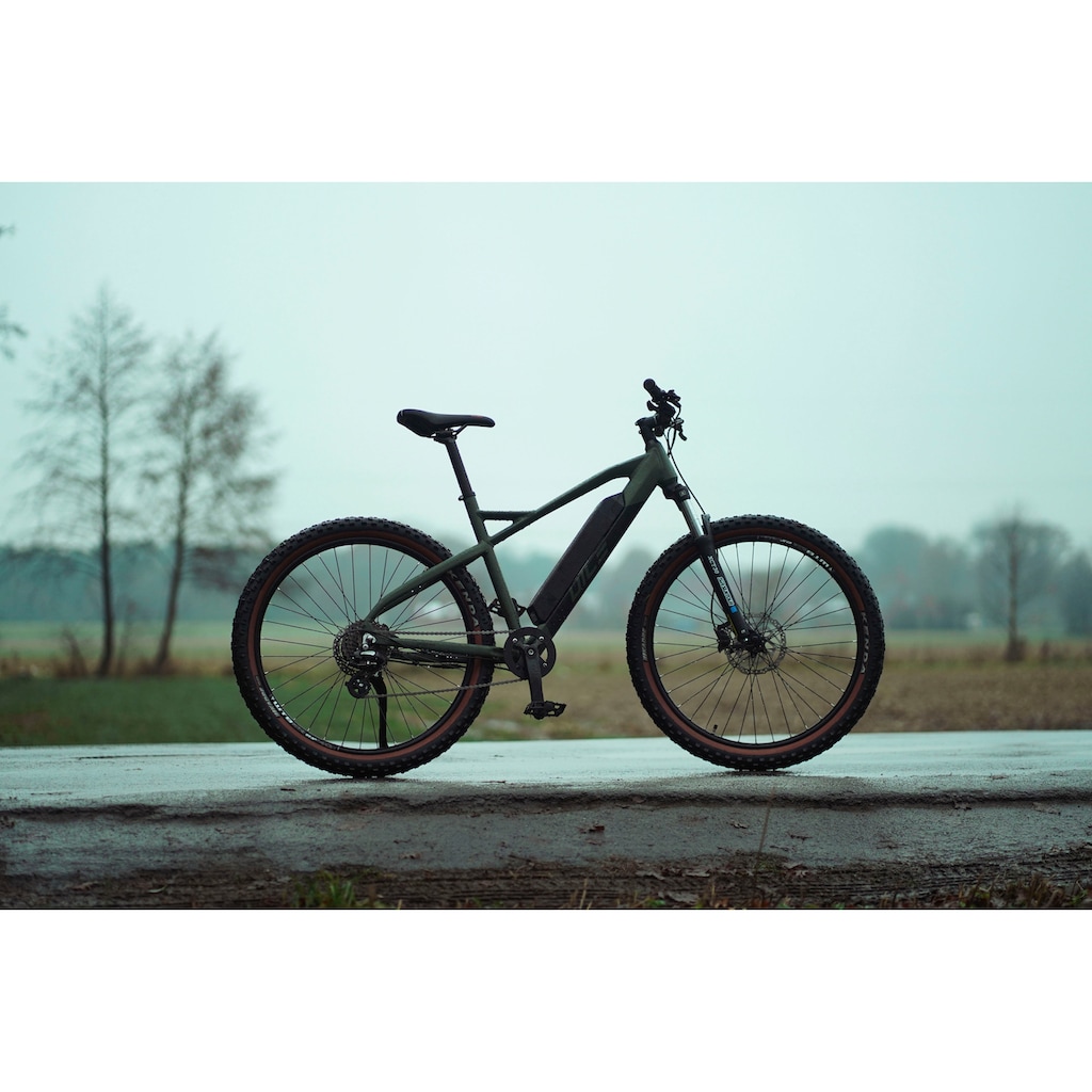 Prophete E-Bike »DICE 1.0«, 8 Gang, Shimano, Altus, Heckmotor 250 W