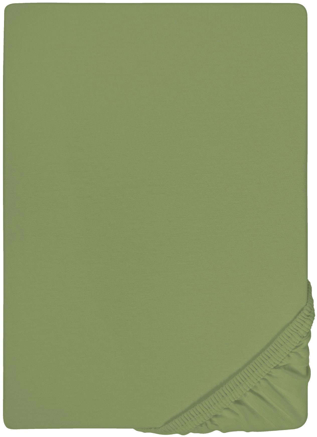 Biberna Spannbettlaken "0077866 Deluxe Jersey-Elastic Spannbetttuch 97% Baumwolle" Jersey mit Elasthan, Rundumgummi, bügelfrei, ab Größe 90 x 190 cm i