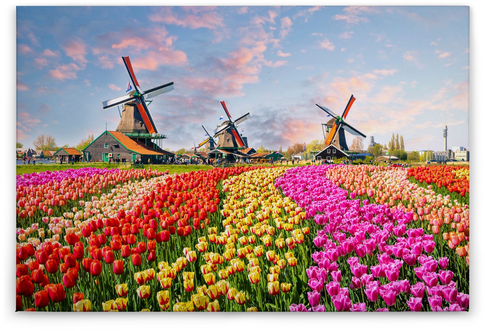 A.S. Création Leinwandbild »Zaanse Schans«, Kunst-Landschaft-Kinder, (1 St.), Keilrahmen Blumenfeld Tulpenfeld Holland Leinwand-Bild Wohnzimmer Wand