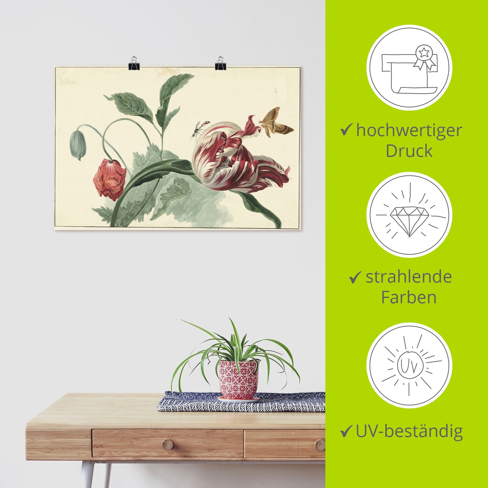 Artland Wandbild »Tulpe und Mohn.«, Blumenbilder, (1 St.), als Alubild,  Leinwandbild, Wandaufkleber oder Poster in versch. Größen bestellen | BAUR
