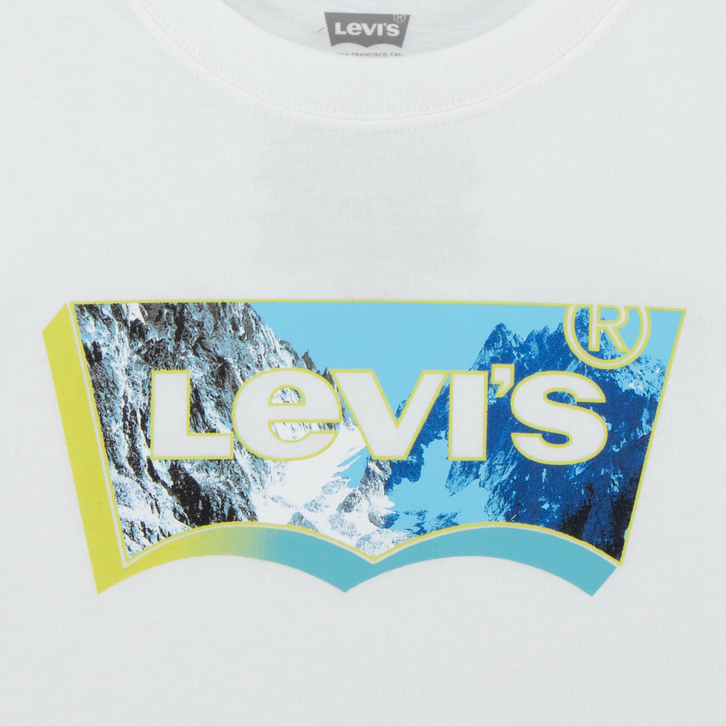Levi's® Kids T-Shirt, mit Batwing-Logoprint mit Landschaft in 3-D-Optik