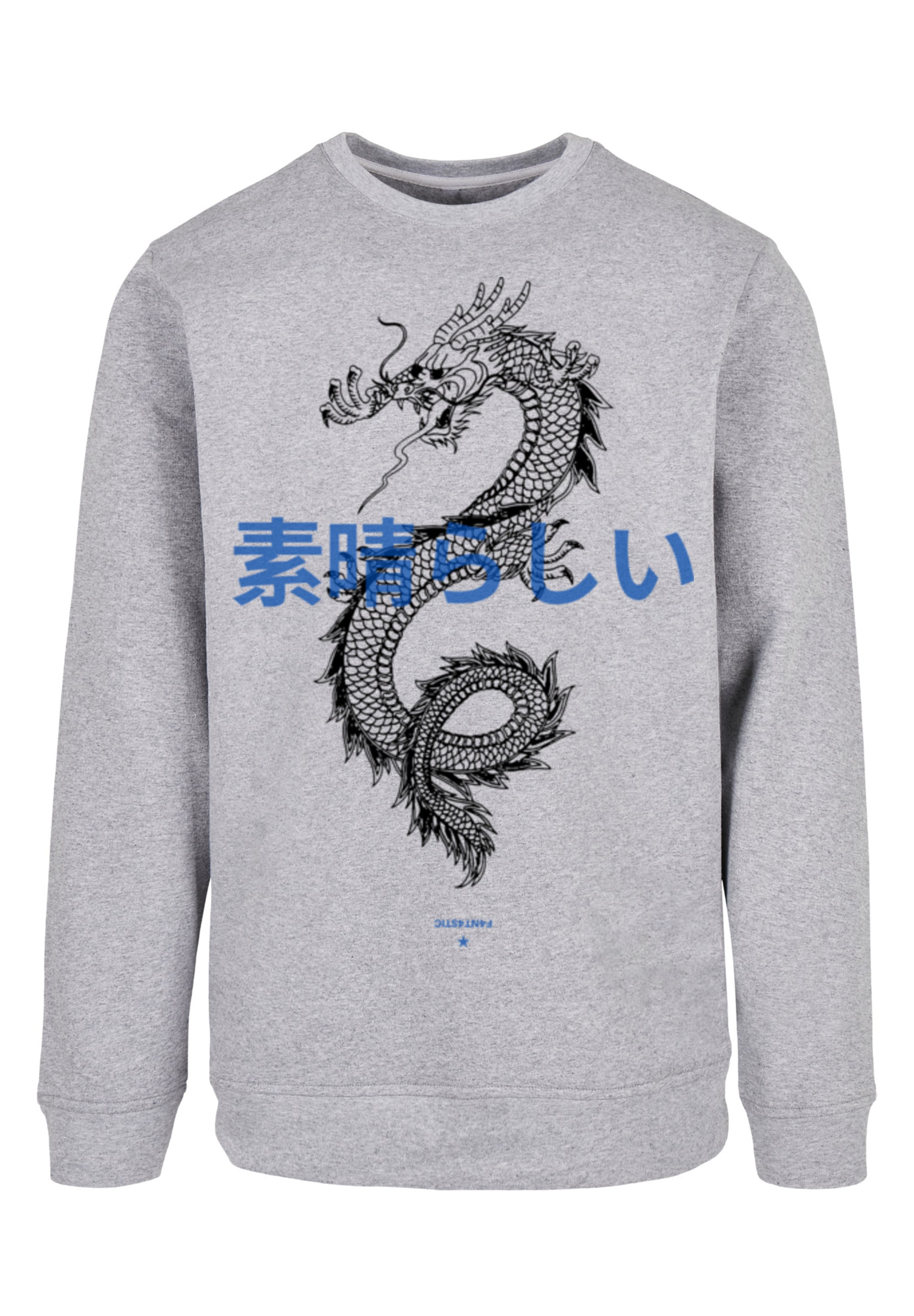 F4NT4STIC Kapuzenpullover "Drache Lila", Print günstig online kaufen