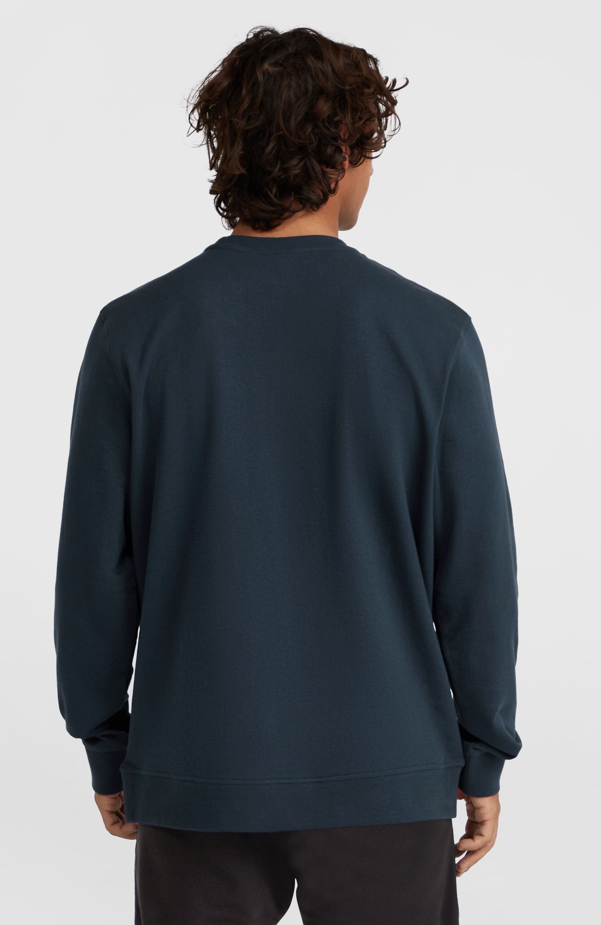 O'Neill Sweatshirt »O'NEILL LOGO CREW«