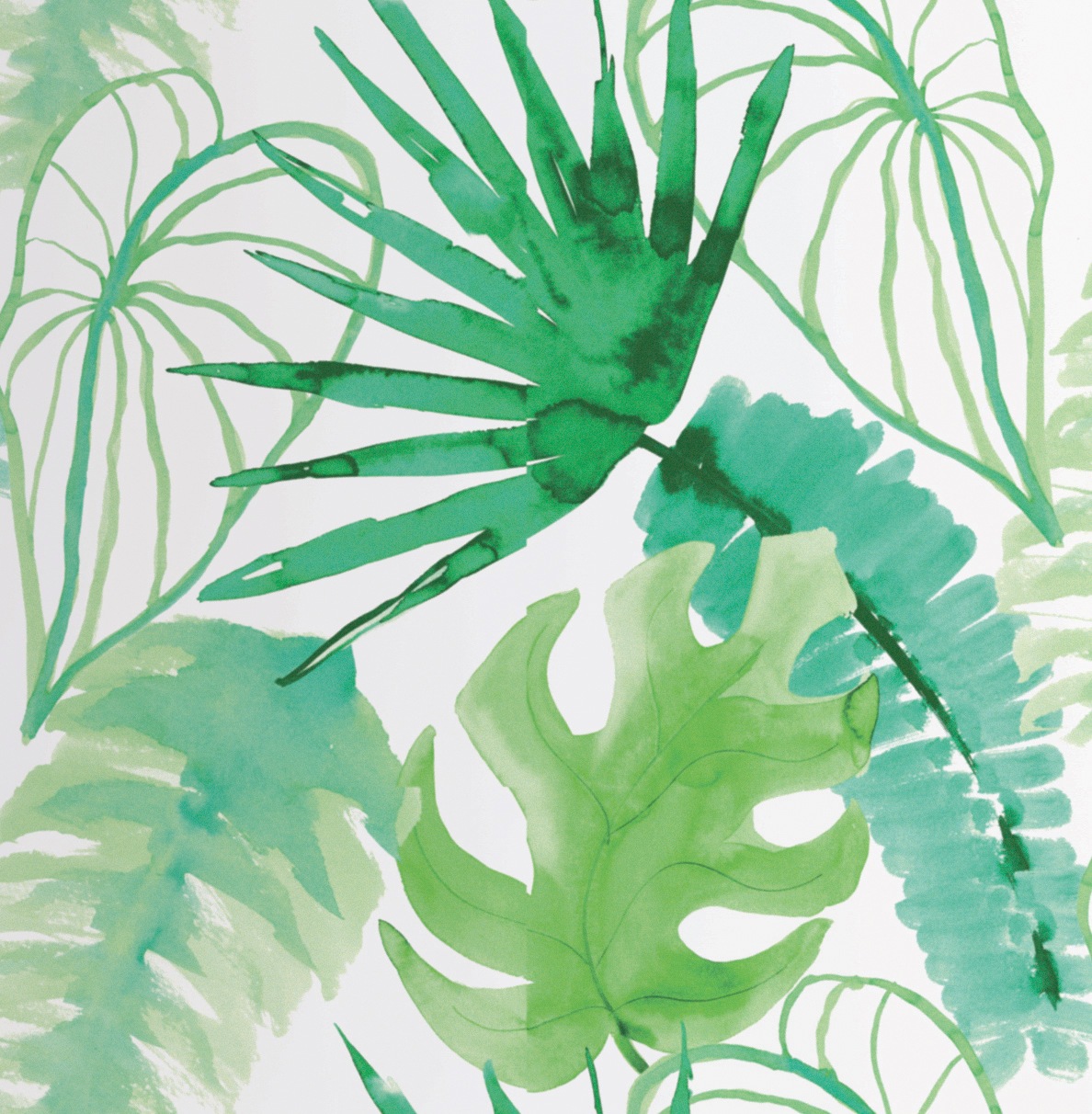 Vliestapete "Jungle - Botanik" botanisch glatt Monstera - 10m x 52cm